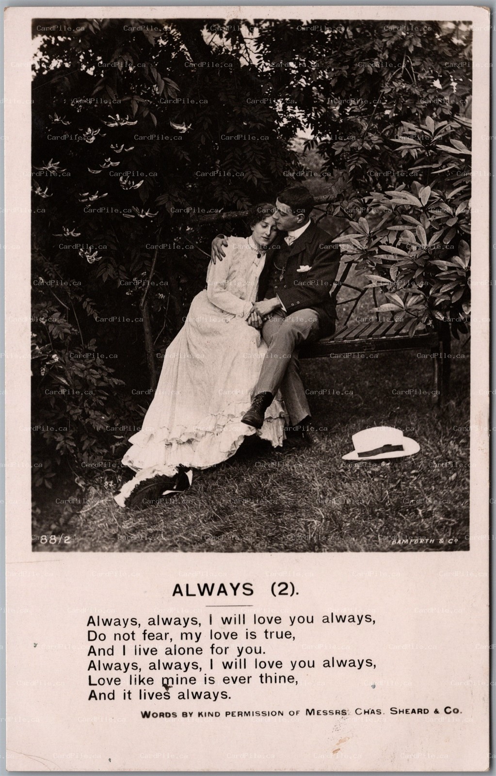 Postcard RPPC c1910s Couple on Bench Always words by Messrs. Chas. Sheard & Co.