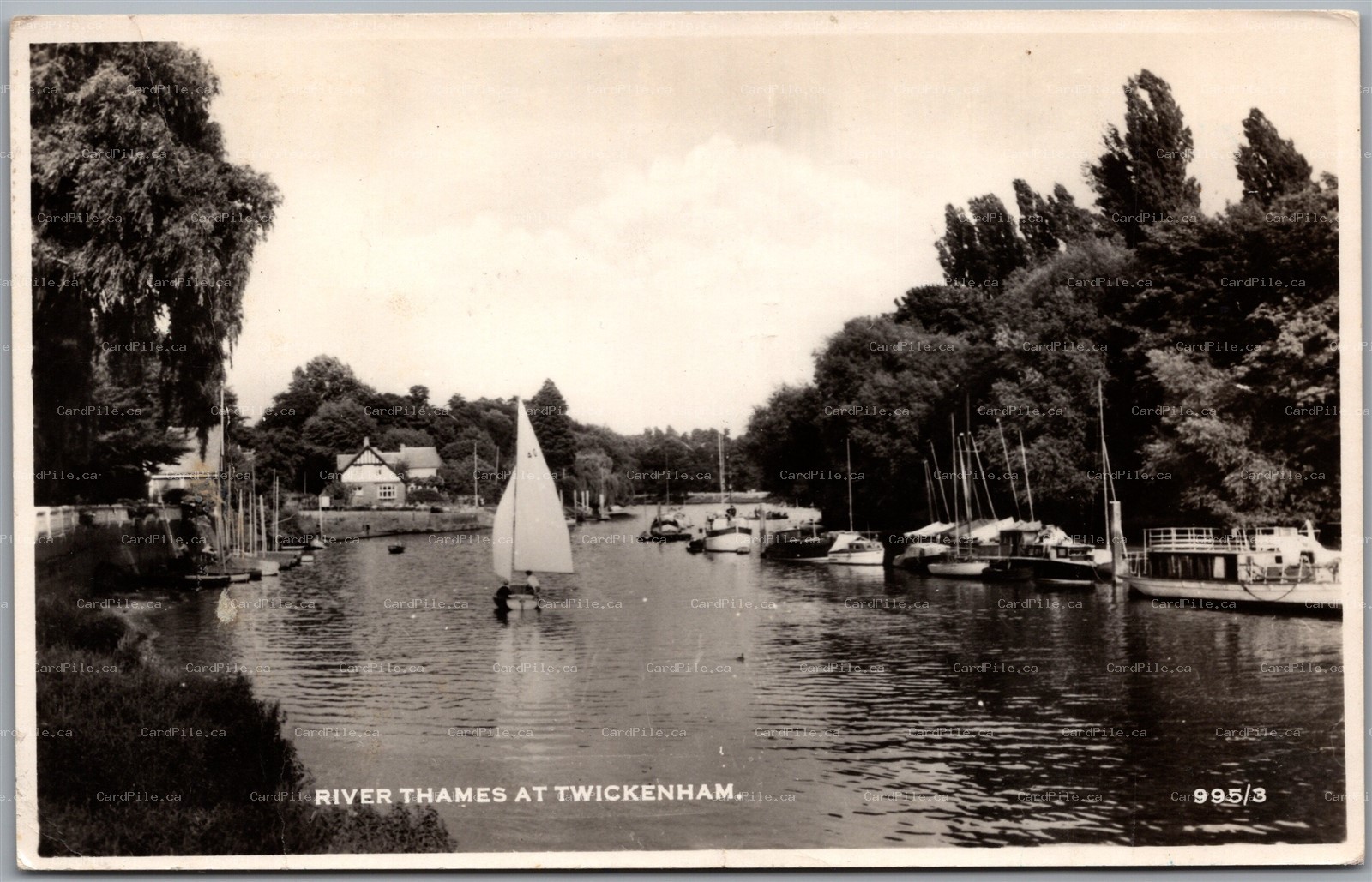 Postcard RPPC c1950s Twickenham England River Thames Sail Boats