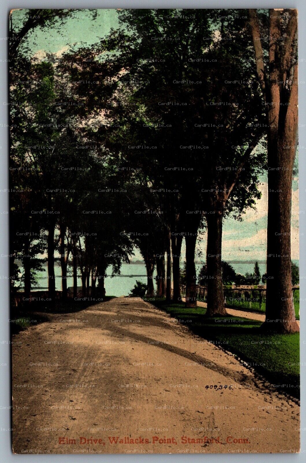 Postcard Stamford CT c1909 Elm Drive Wallacks Point Street View 