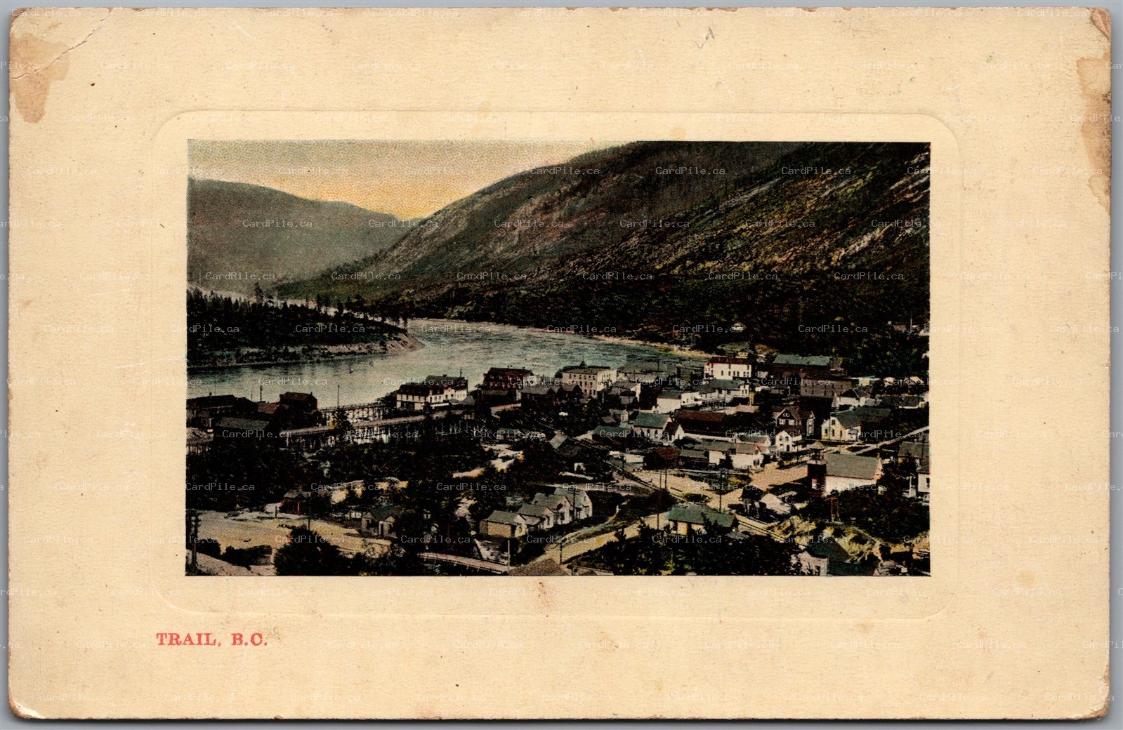 Postcard Trail British Columbia c1910s Birds Eye View of Town by Stedman Bros