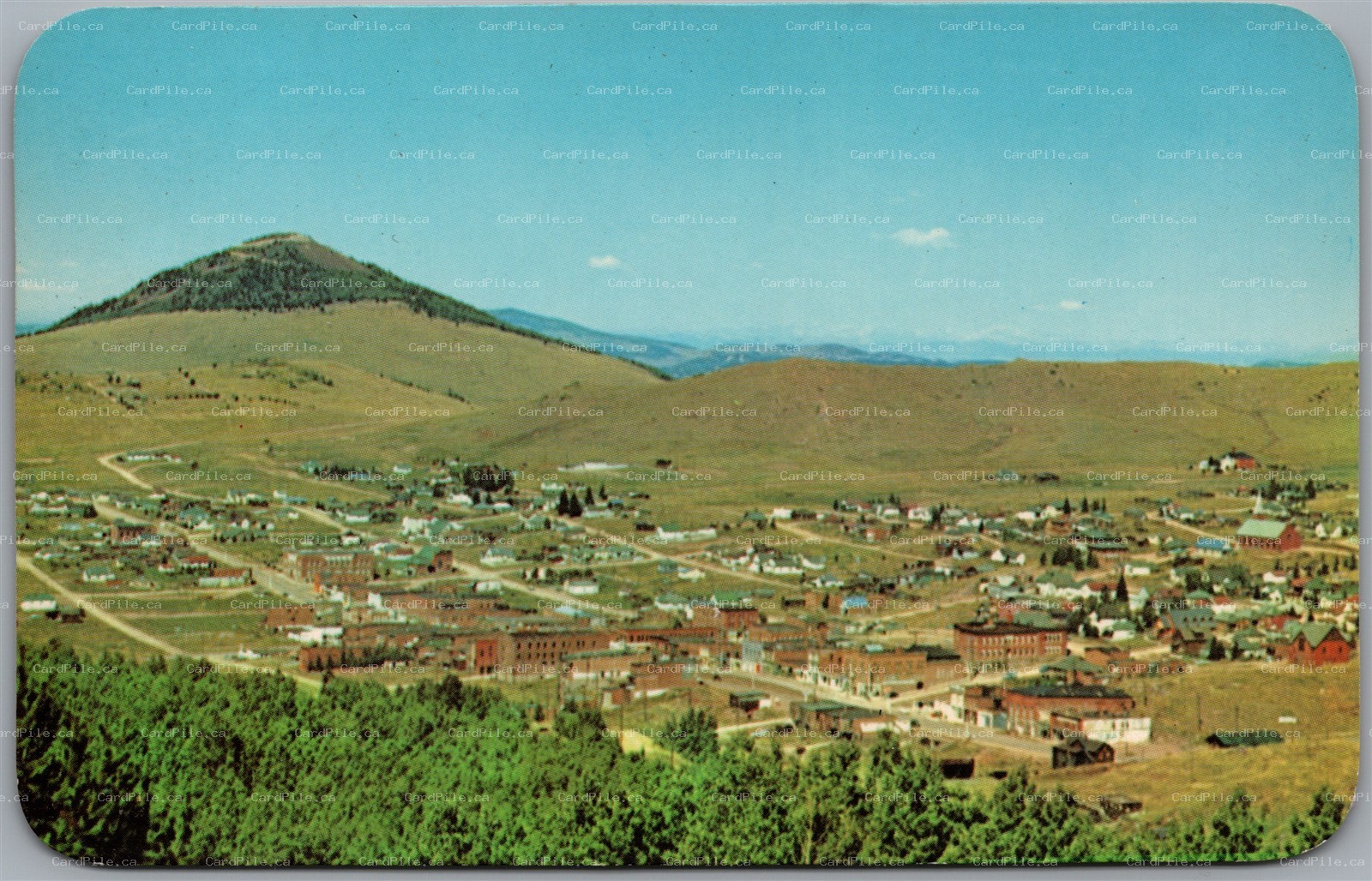 Postcard Cripple Creek Colorado Panaroma Town View Mt. Pisgah Teller County