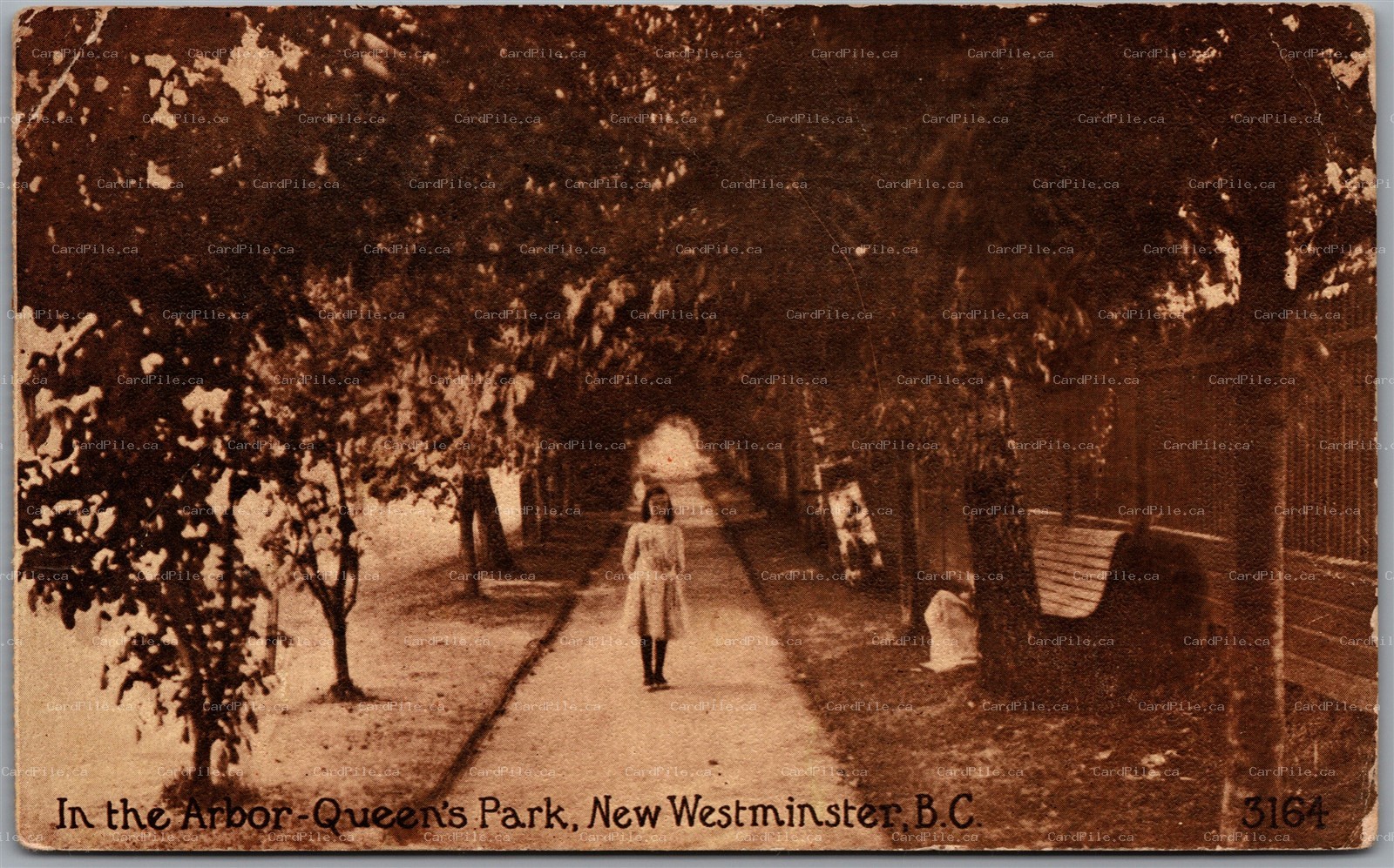 Postcard New Westminister British Columbia c1913 Queen's Park In the Arbor Sepia