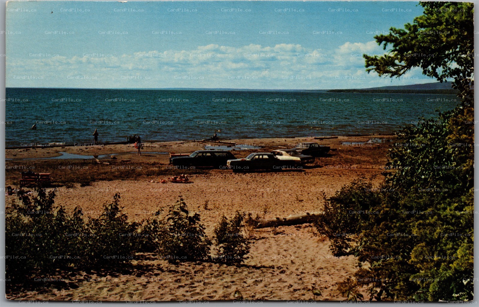 Postcard Lesser Slave Lake Alberta c1972 Provincial Park Old Cars on Beach