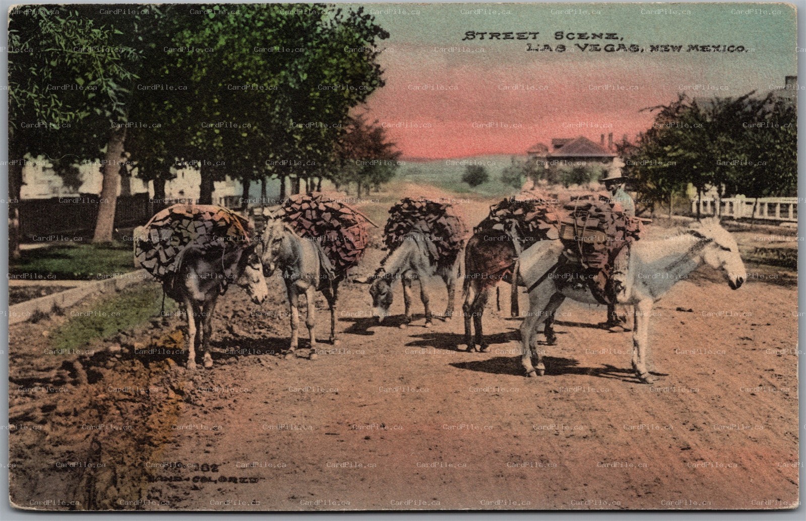Postcard Las Vegas New Mexico c1912 Street Scene Hand Colored by Fred Harvey