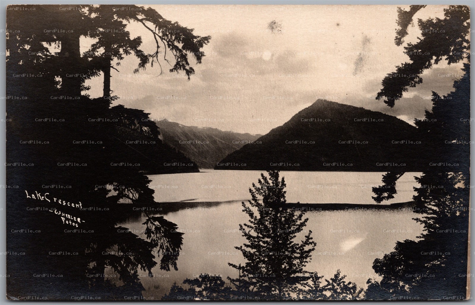 Postcard RPPC Olympic National Park Washington Lake Crescent by Wheeler Photo