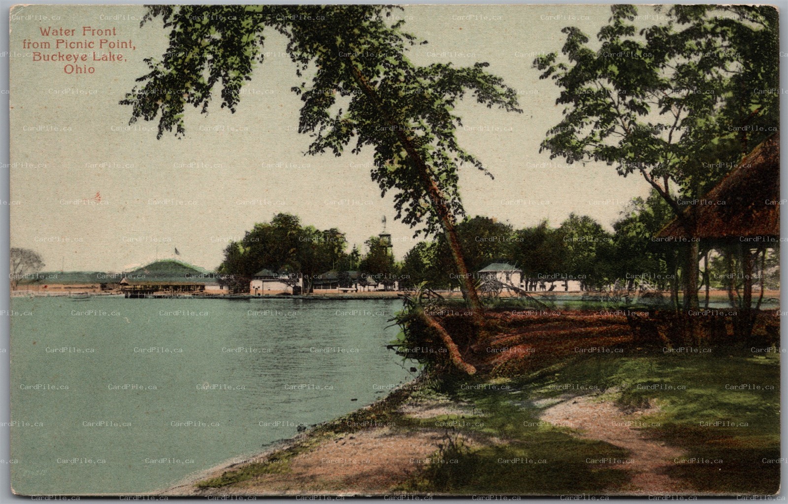 Postcard Buckeye Lake Ohio c1910s Water Front from Picnic Point Scenic View