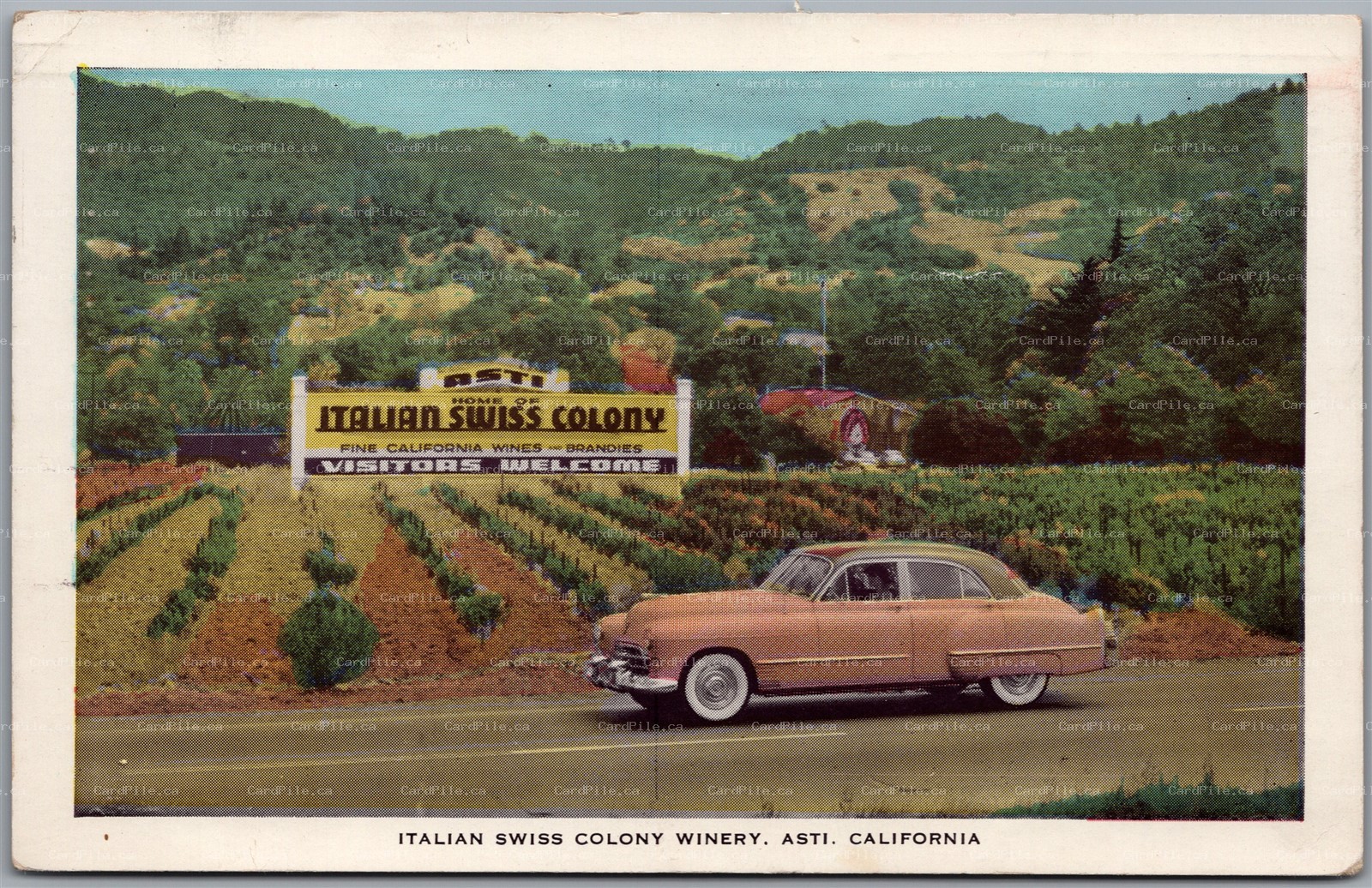 Postcard Asti California Italian Swiss Colony Winery Road Sinage Sonoma County