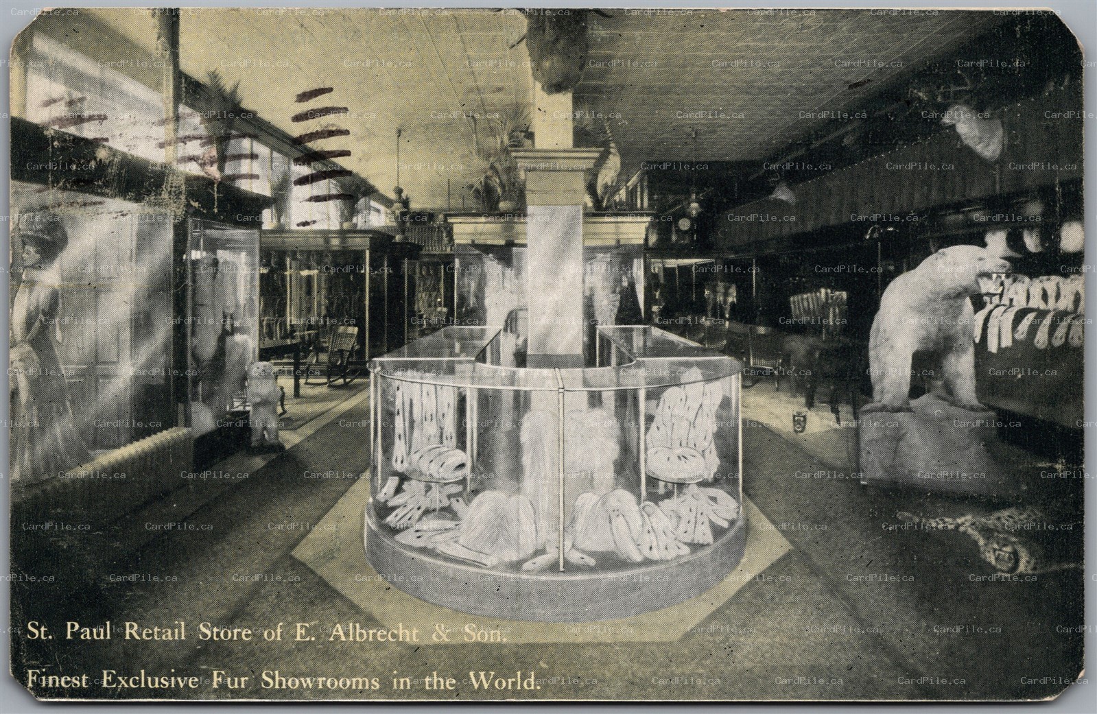 Postcard St. Paul Minnesota 1908 Retail Store of E. Albrecht & Son Spokane Hotel