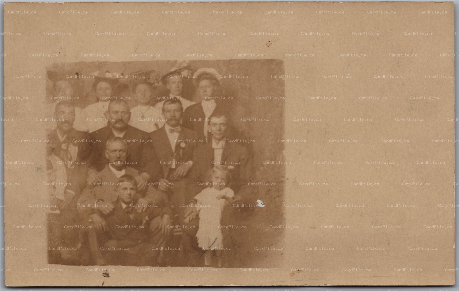 Postcard RPPC c1910s Colorado Springs Colorado Studio Photo of Family by The Zoo