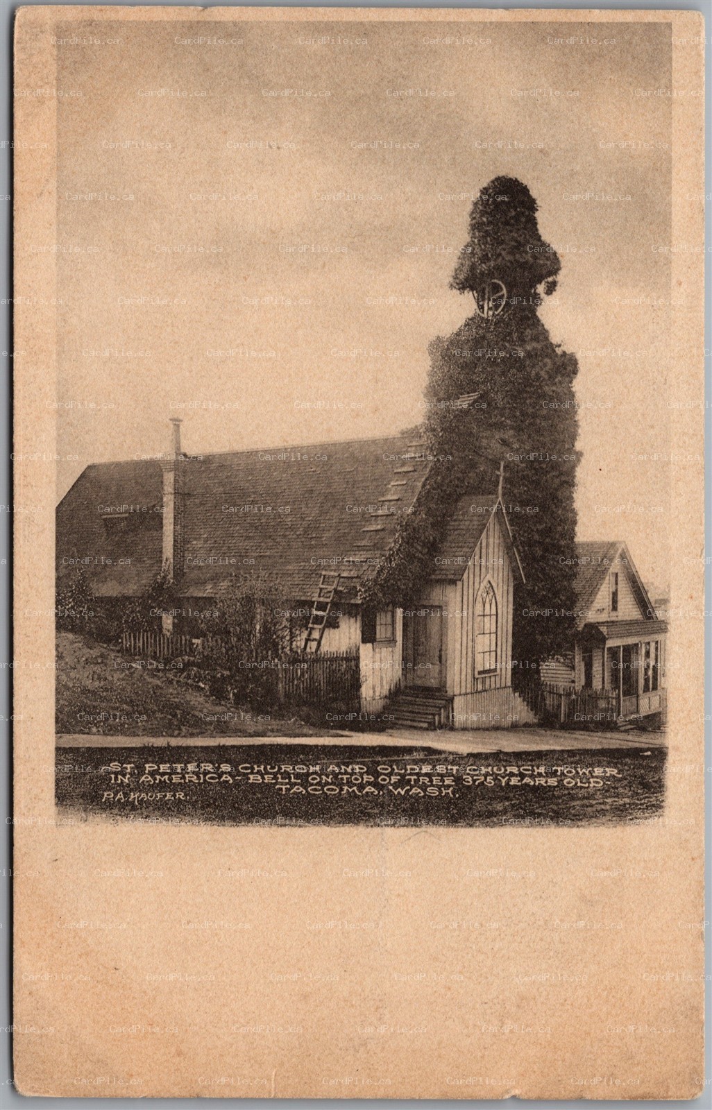 Postcard Tacoma Washington c1900s St. Peter's Church and Tower Albertype Kaufer