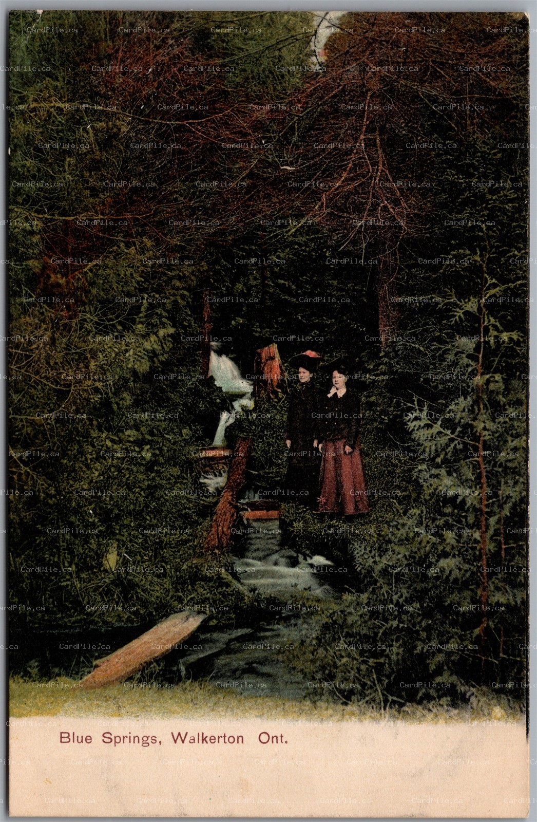 Postcard Walkerton Ontario c1910s Blue Springs Scenic View Bruce County