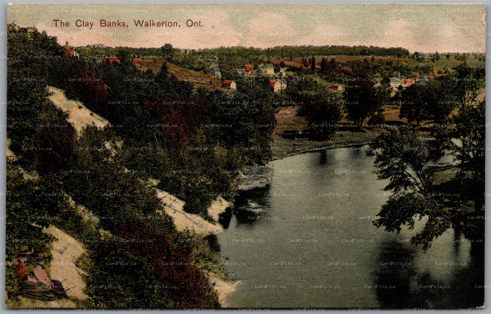Postcard Walkerton Ontario c1910s The Clay Banks Scenic View Bruce County