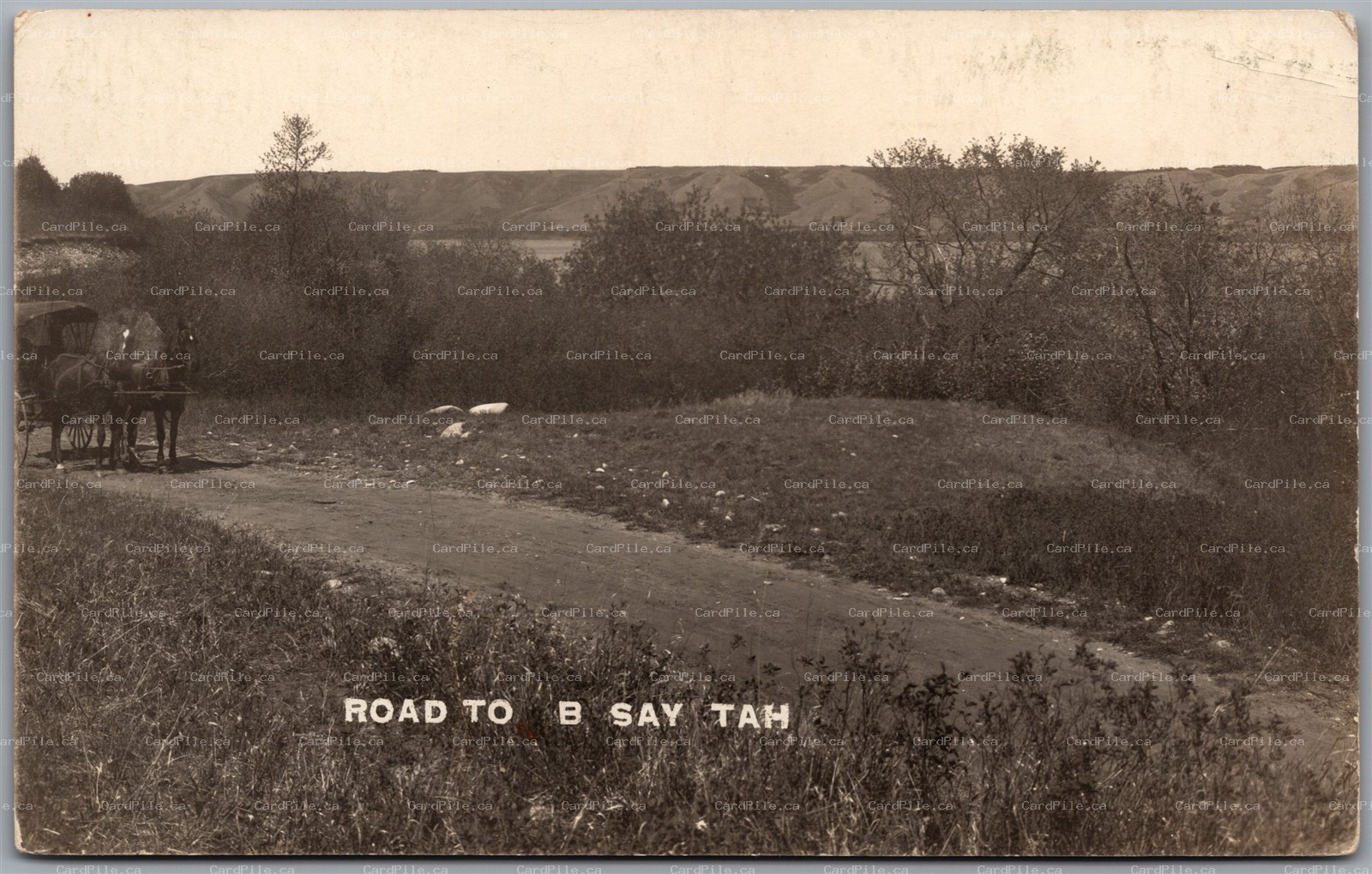 Postcard RPPC c1910s B-Say-Tah Saskatchewan Road View Carriage Fort Qu'Appelle