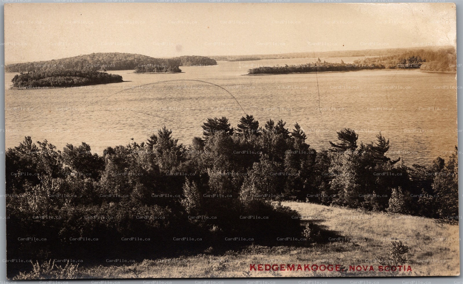 Postcard RPPC c1910s Kedgemakooge Nova Scotia Scenic View Lake 1
