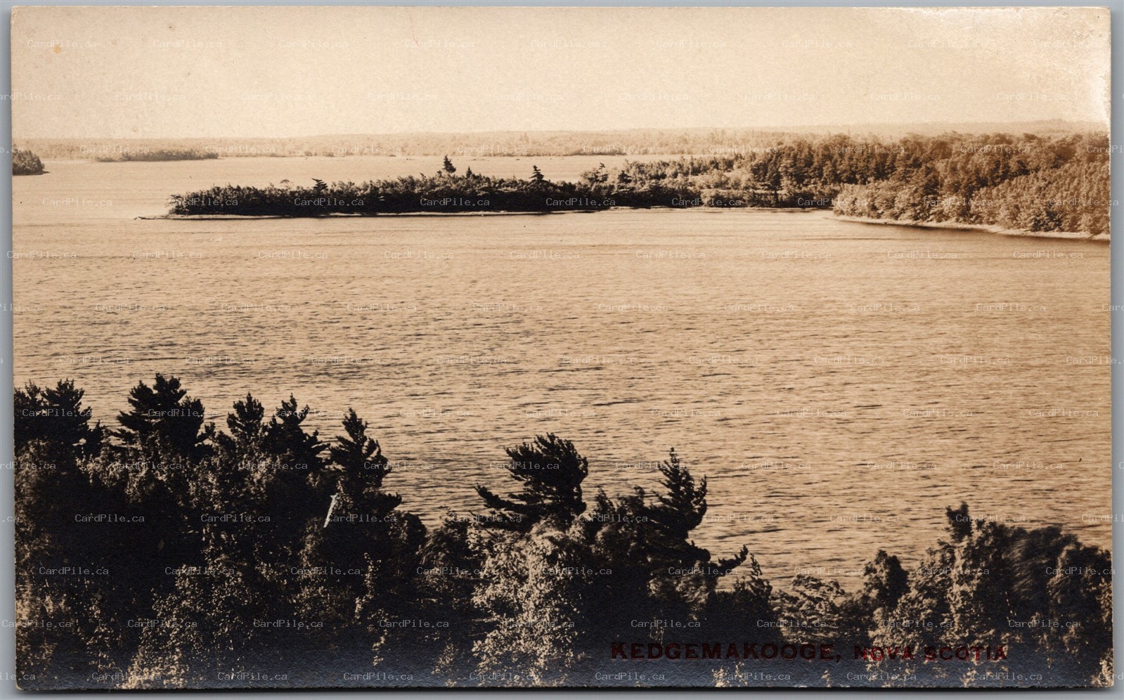 Postcard RPPC c1910s Kedgemakooge Nova Scotia Scenic View Lake 2