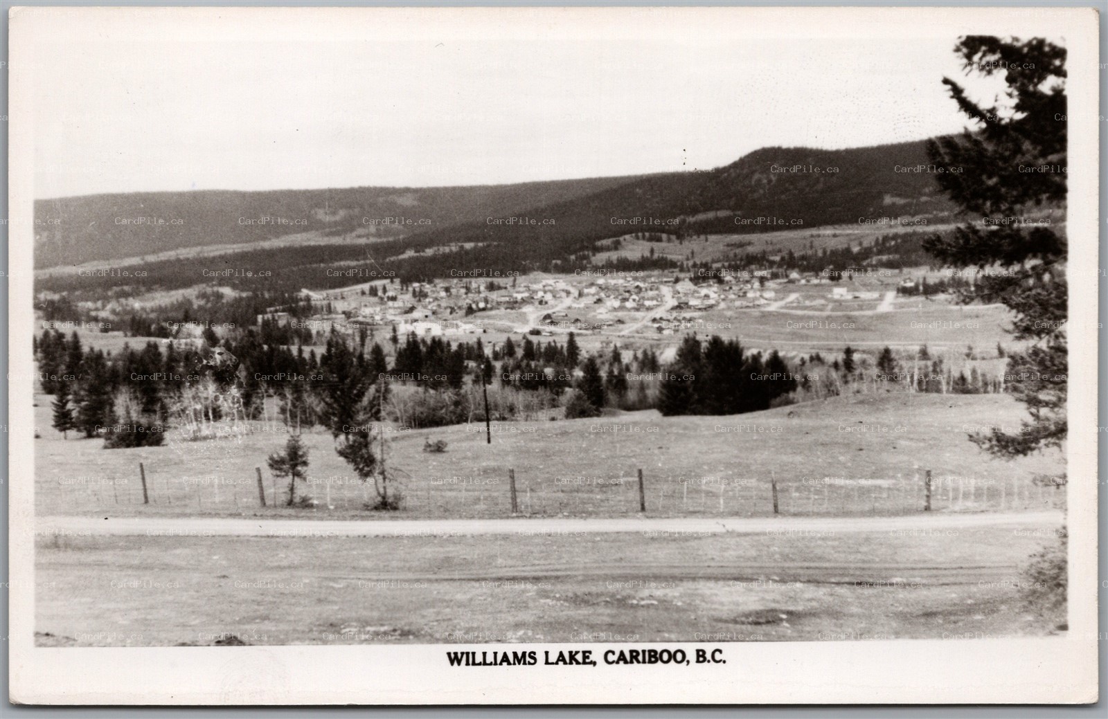 Postcard RPPC c1957 Cariboo British Columbia Williams Lake Scenic View