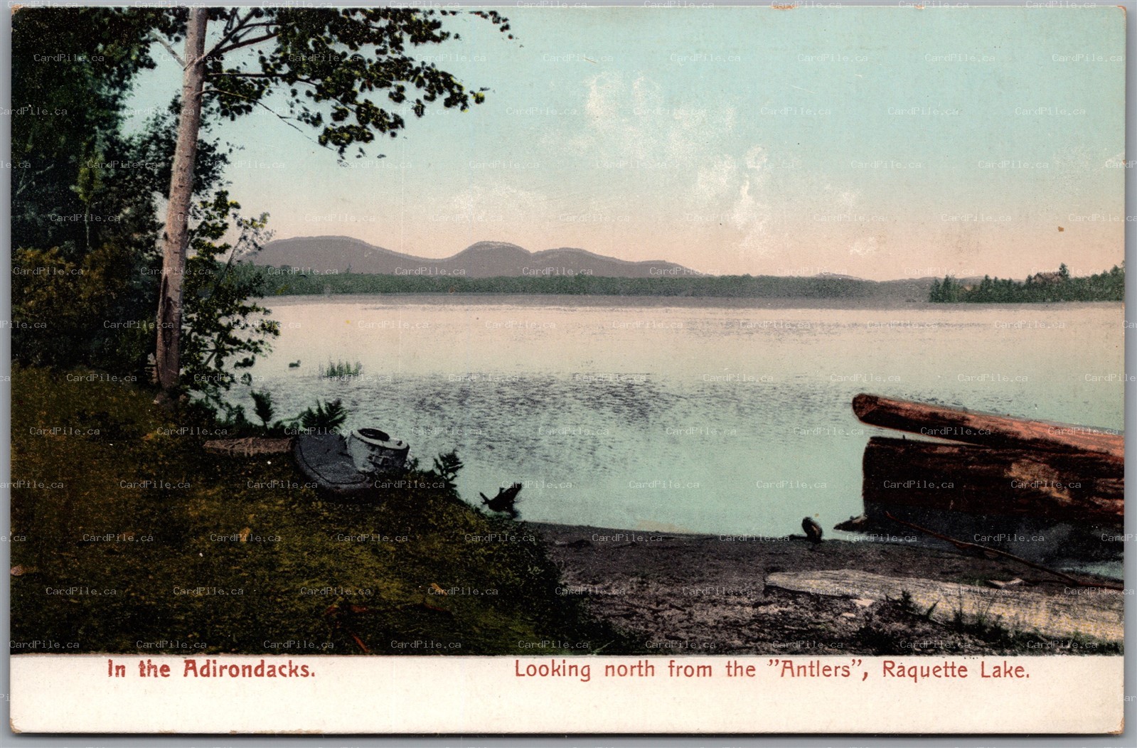 Postcard Raquette Lake New York Adirondack Mountains Looking North from Antlers