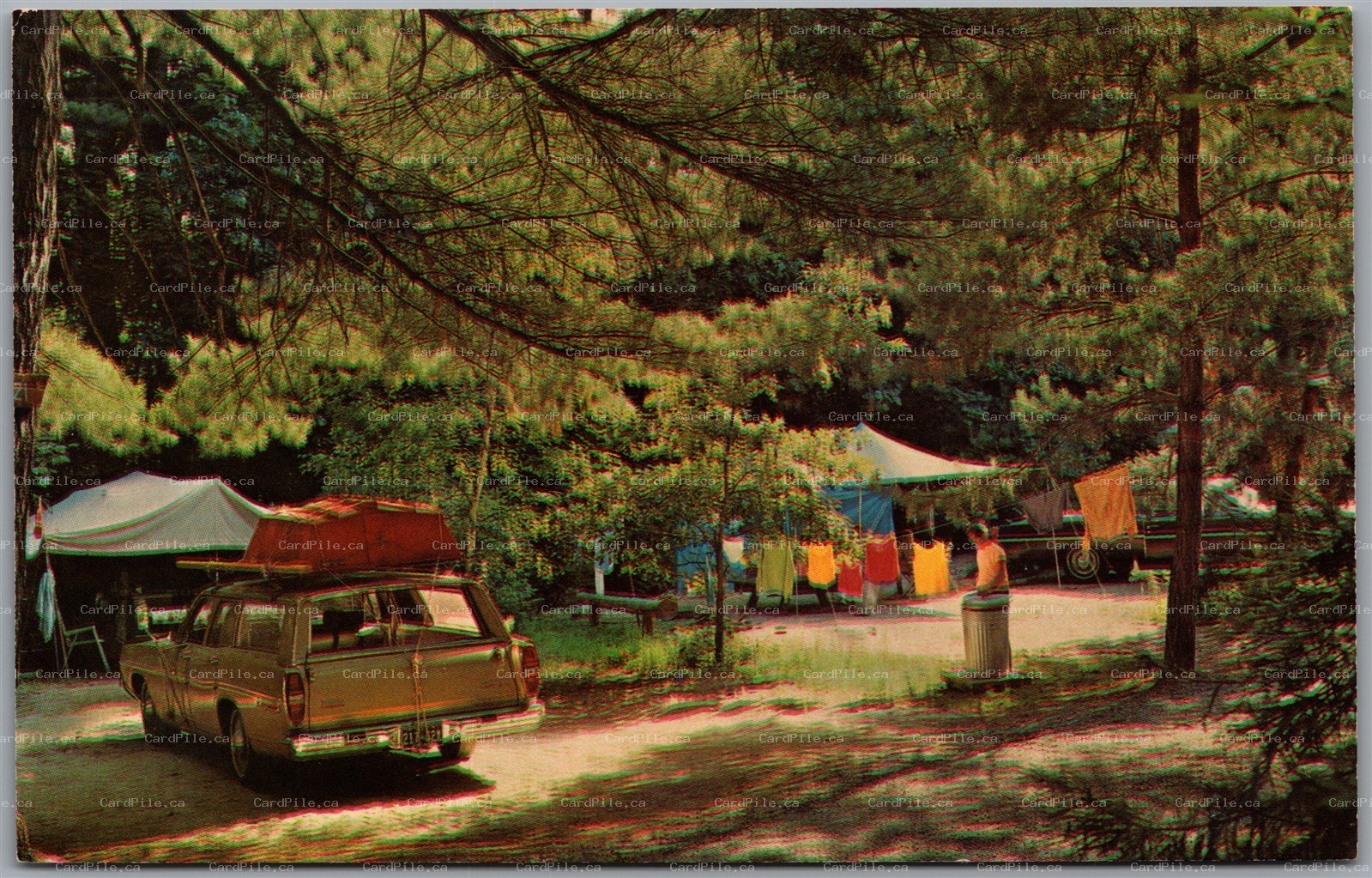 Postcard Adirondack Mountains New York Camping in the Pines Station Wagon