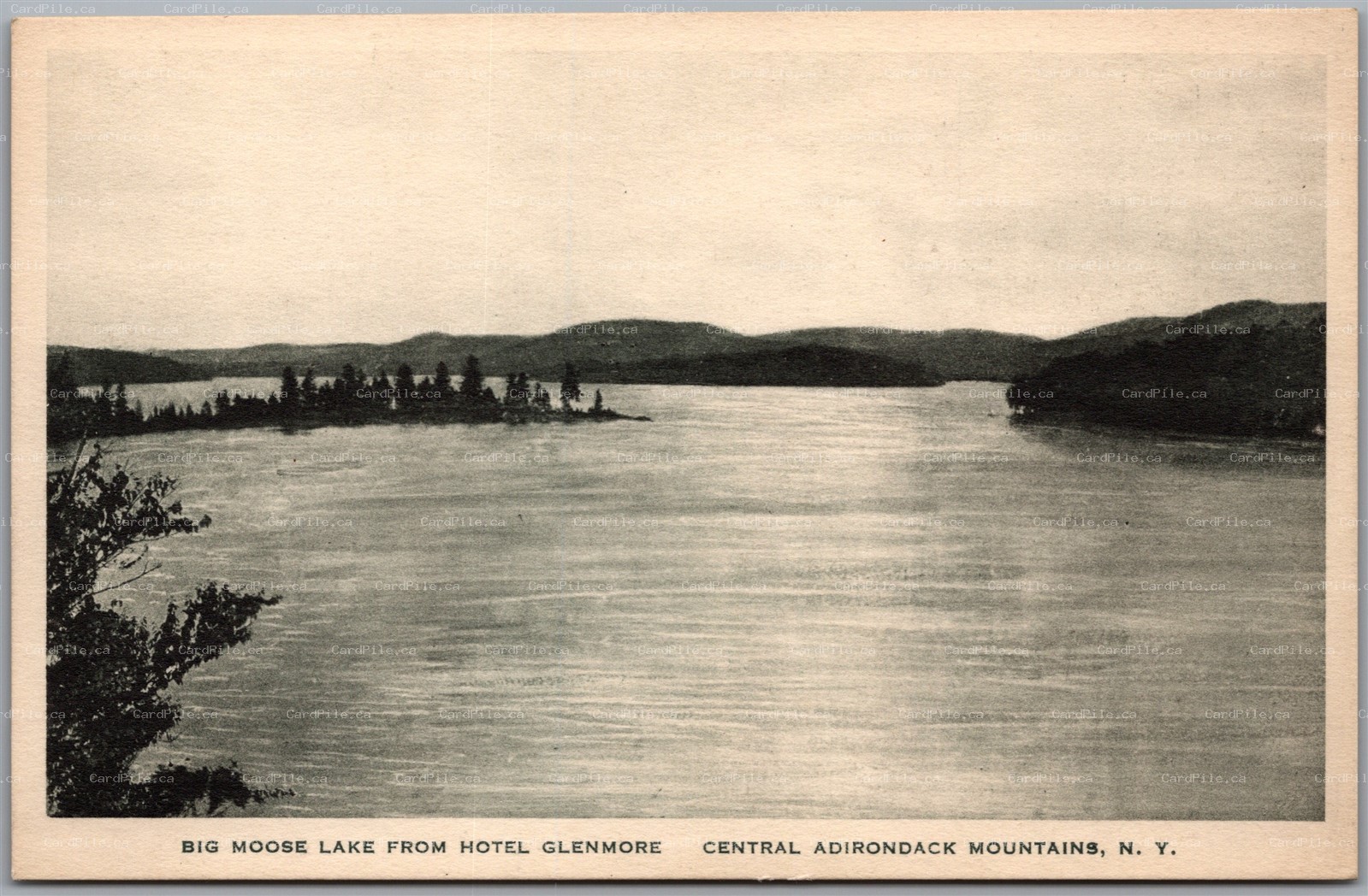Postcard Big Moose Lake New York Scenic View from Hotel Glenmore Albertype
