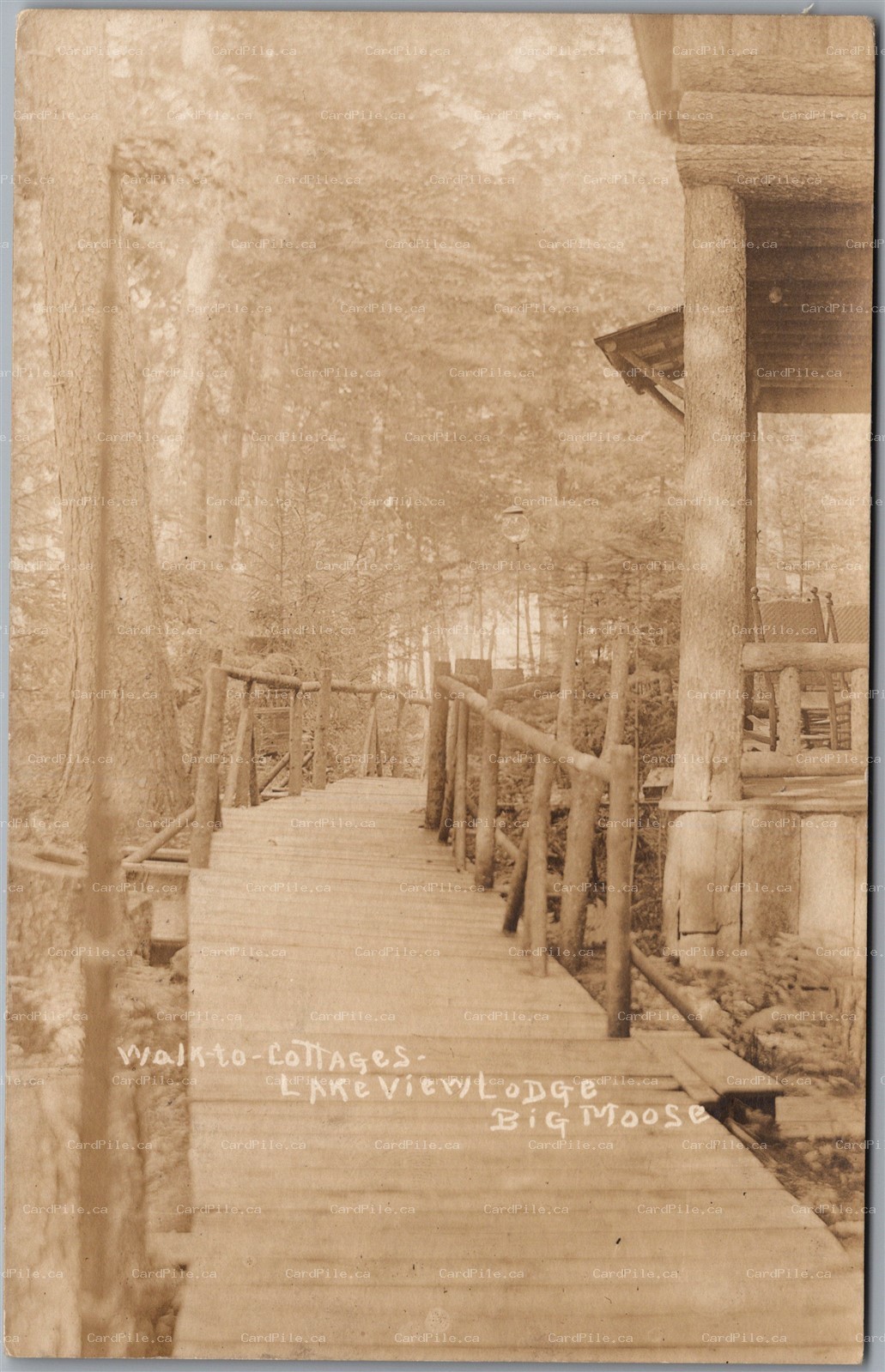 Postcard RPPC c1920 Big Moose Lake New York Lakeview Lodge Walk to Cottages