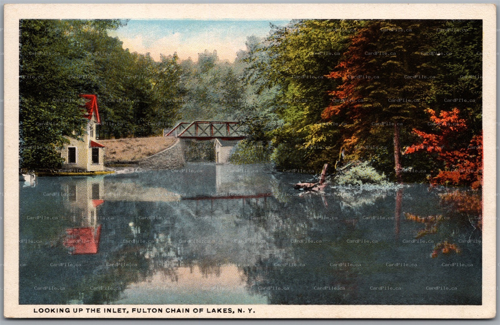Postcard Fulton Chain of Lakes New York Looking up the Inlet Scenic View