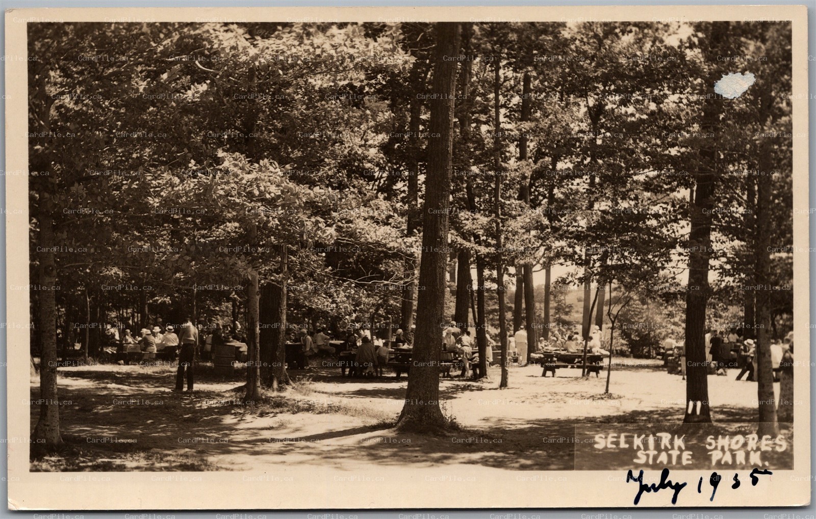 Postcard RPPC 1935 Pulaski NY Selkirk Shores State Park Oswego County Richland B
