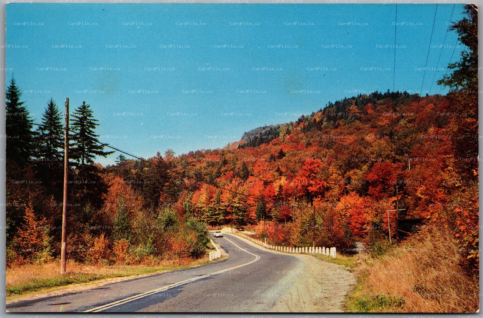 Postcard Colorful Autumn Scene New York Between Eagle Bay and Inlet Highway