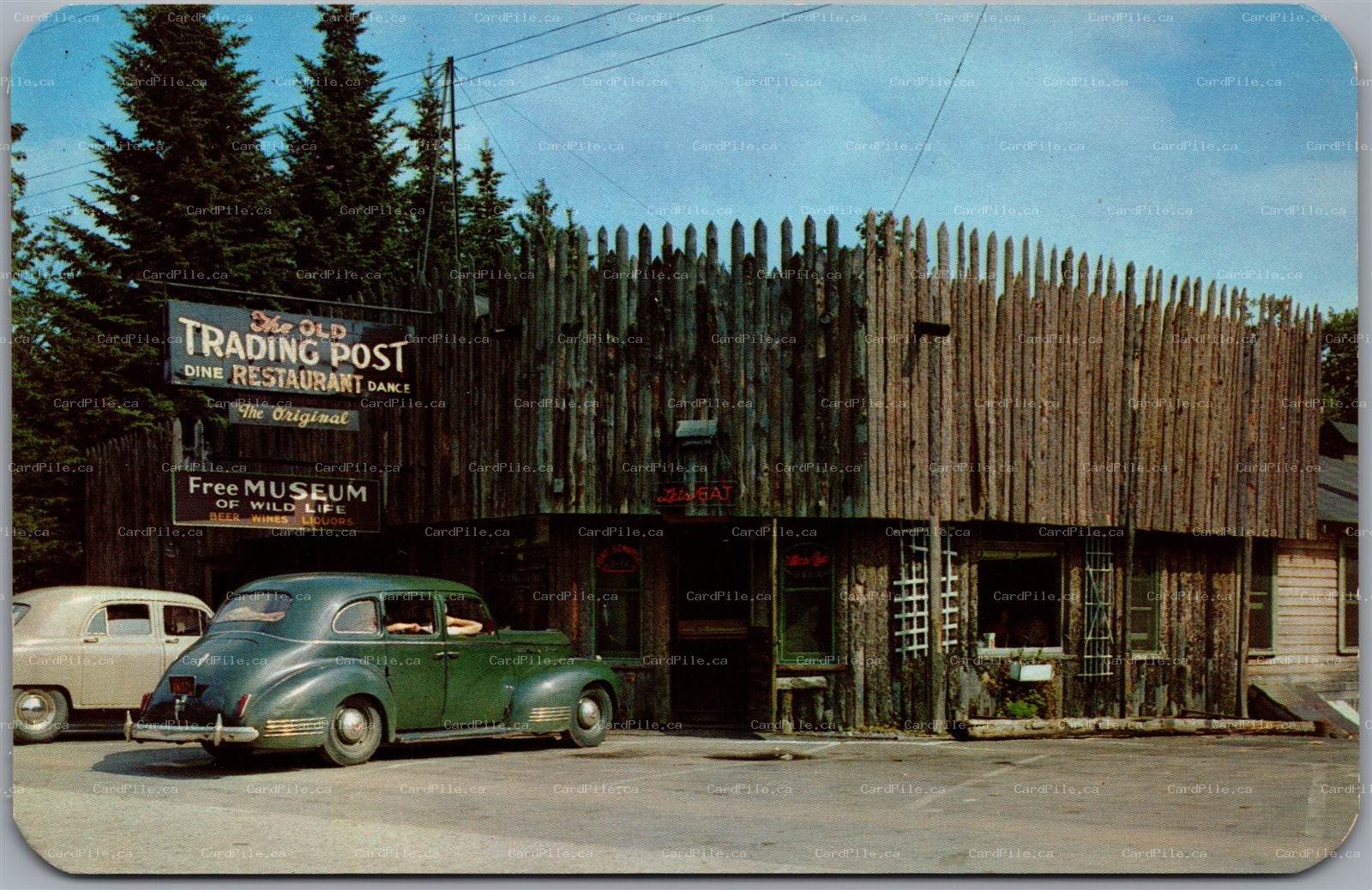 Postcard Eagle Bay New York Teich's Old Trading Post Wildlife Antiques Old Cars