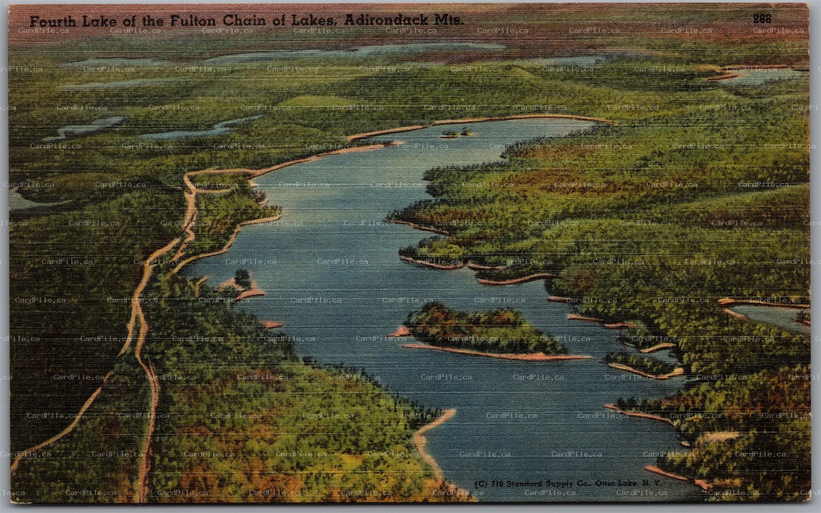 Postcard Eagle Bay New York Aerial View Fourth 6th 7th Bubb Raquette Lakes