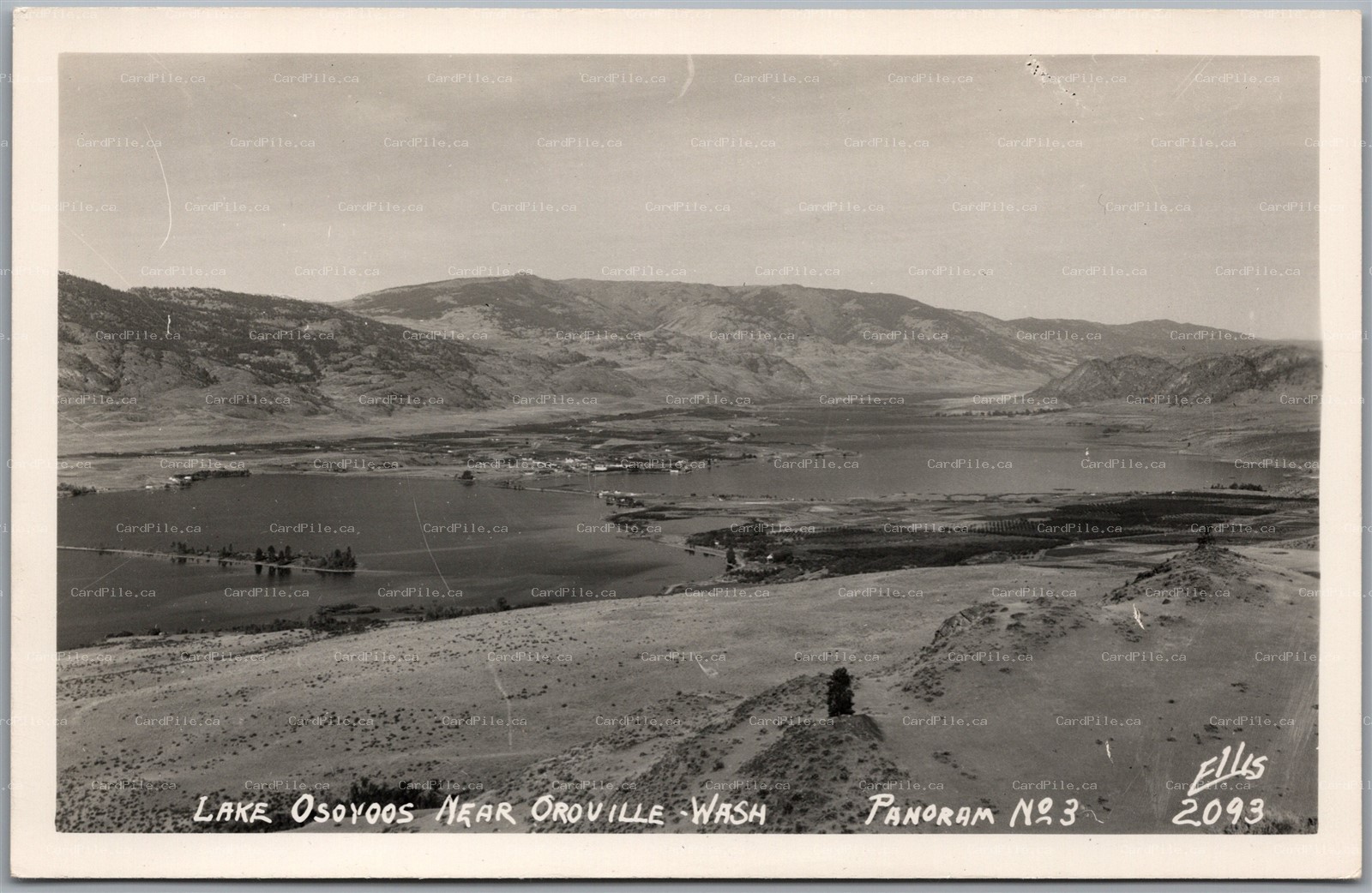 Postcard RPPC Oroville Washington Lake Osoyoos Scenic View Panorama #3 by Ellis