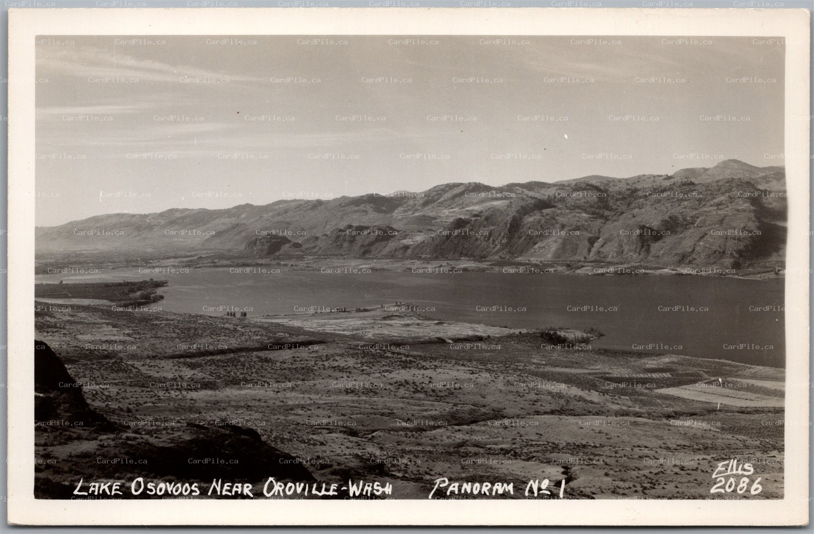 Postcard RPPC Oroville Washington Lake Osoyoos Scenic View Panorama #1 by Ellis