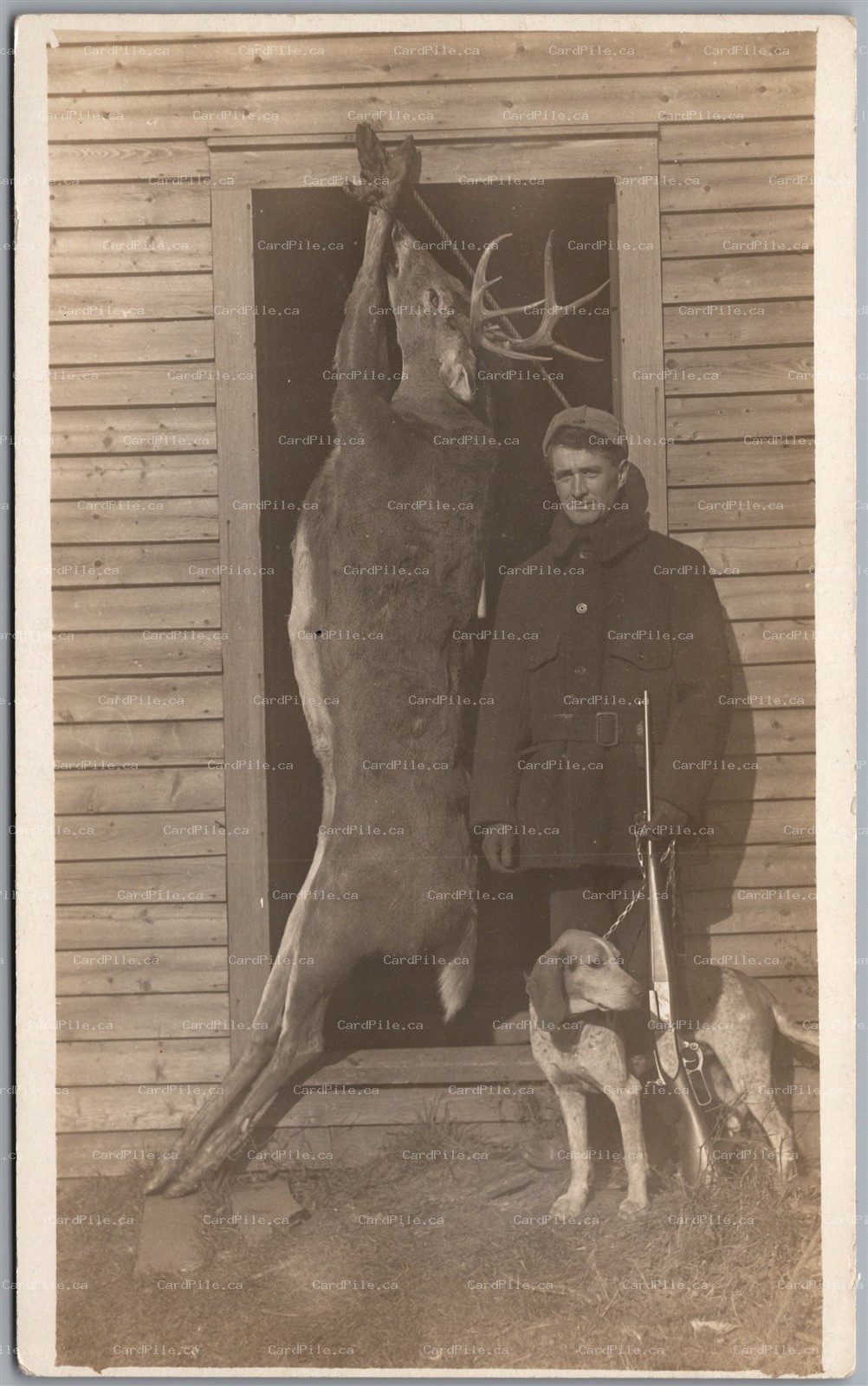 Postcard RPPC c1910s Man with Buck Deer Kill Shotgun and Dog