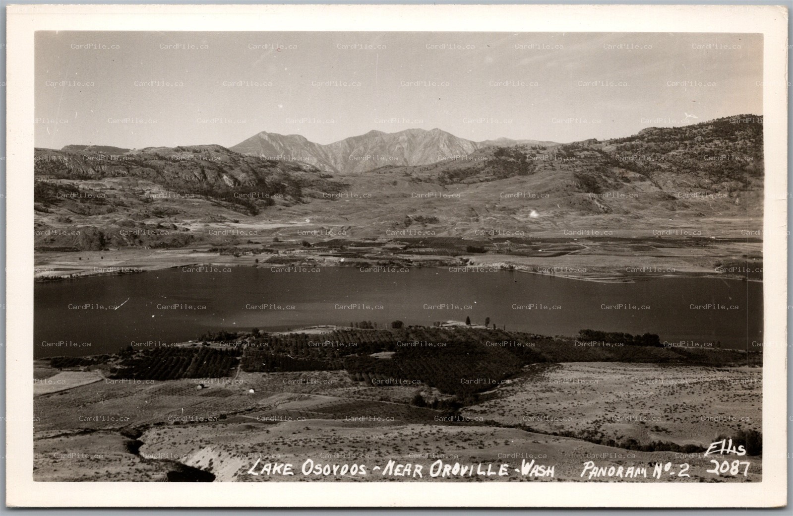 Postcard RPPC Oroville Washington Lake Osoyoos Scenic View Panorama #2 by Ellis