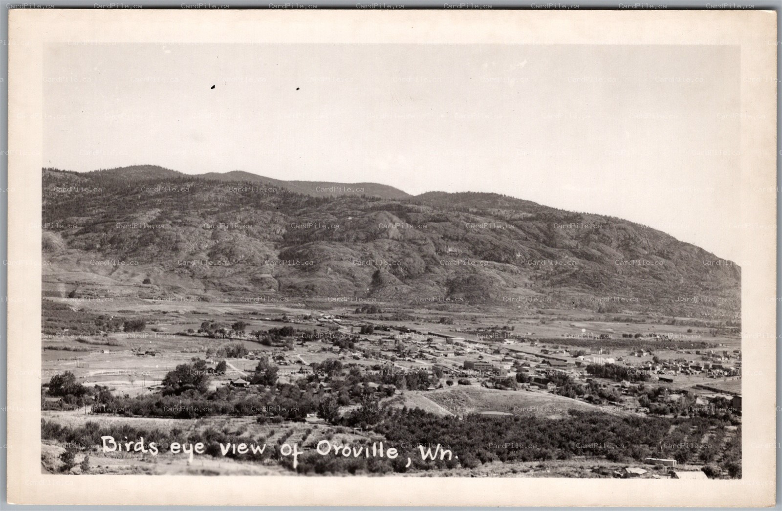 Postcard RPPC Oroville Washington Birds Eye View Okanogan County