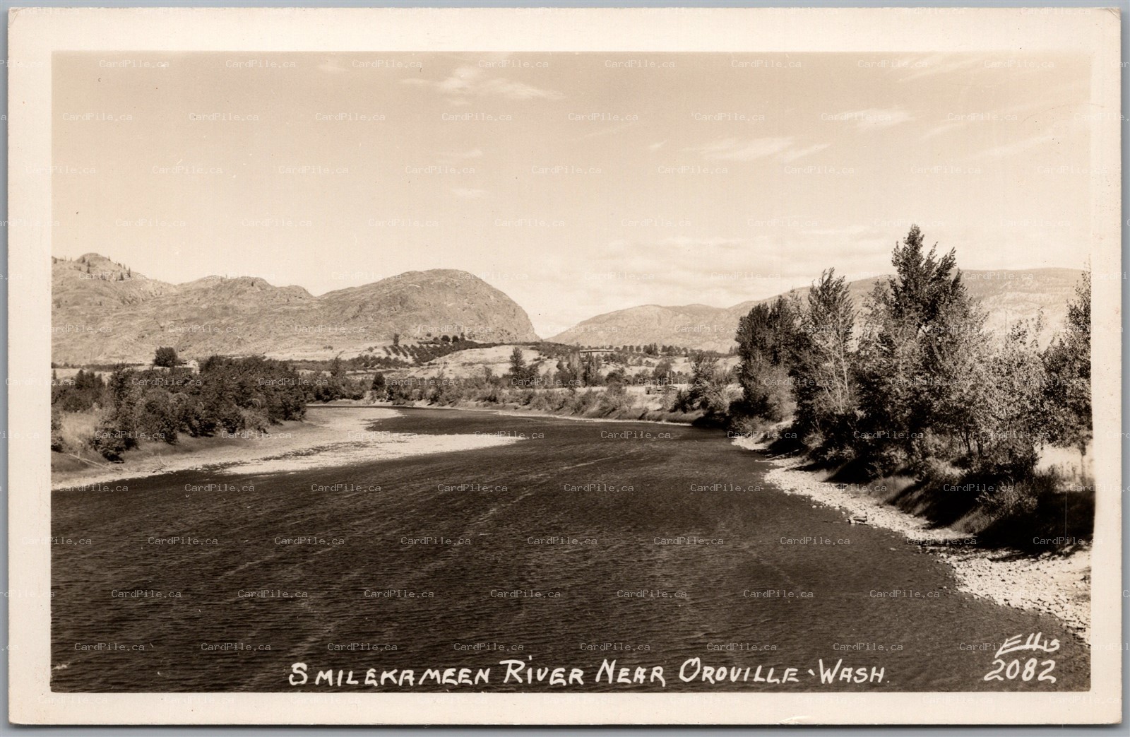 Postcard RPPC Oroville Washington Similkameen River Scenic View by Ellis