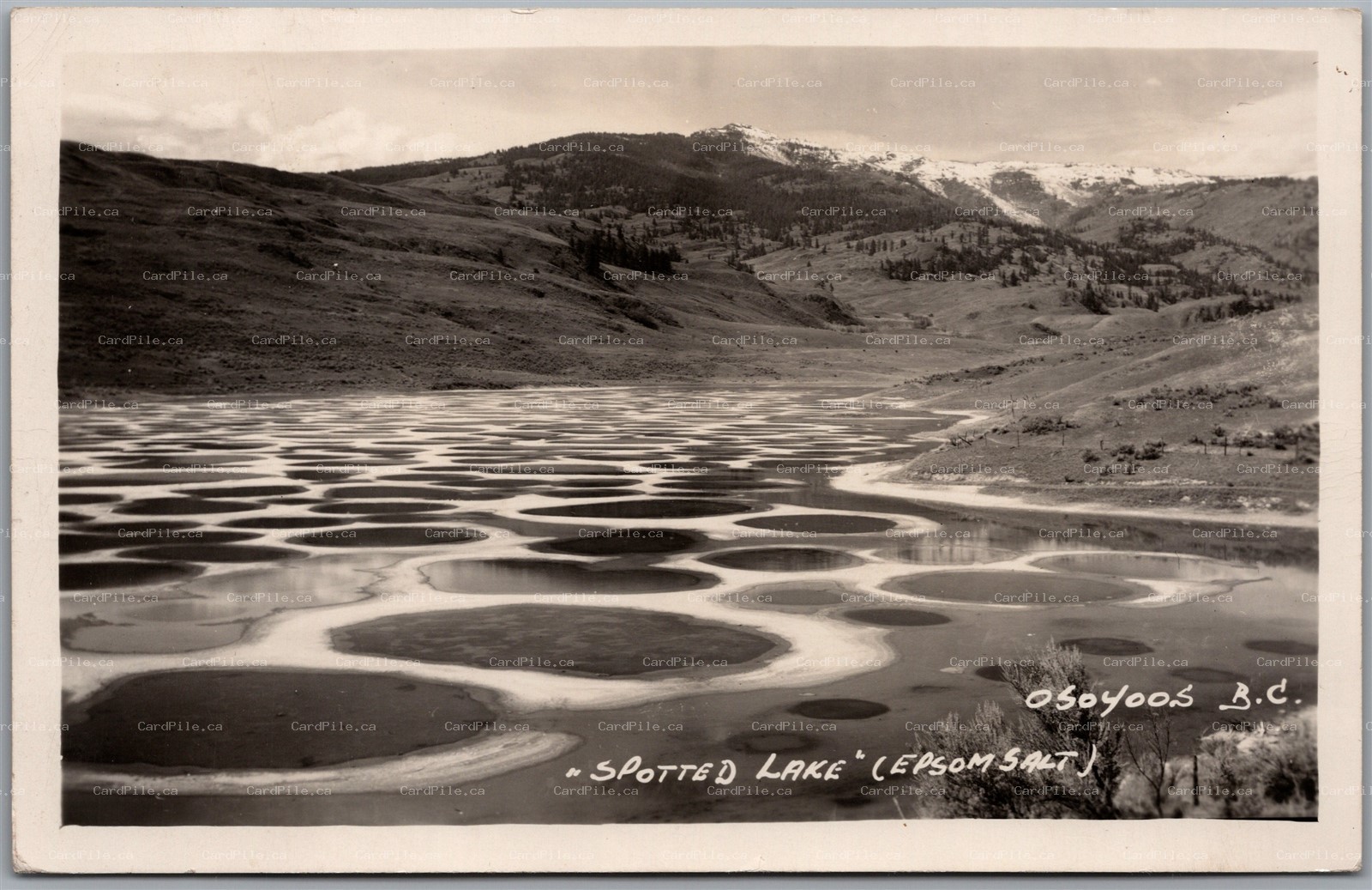 Postcard RPPC c1950 British Columbia Osoyoos Spotted Lake Epsom Salt