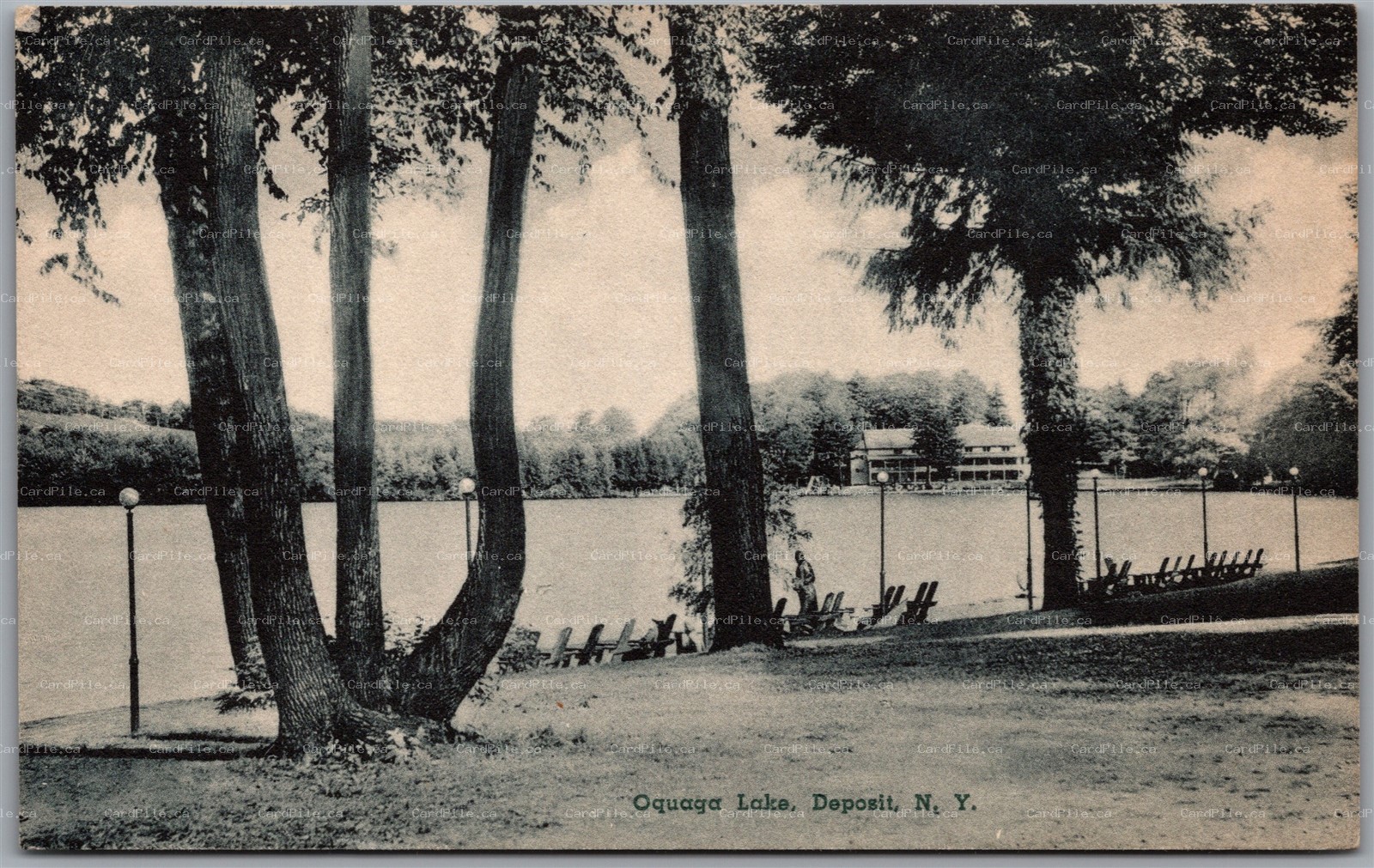 Postcard Deposit New York Oquaga Lake Scenic View Hotel Monoquaga Albertype