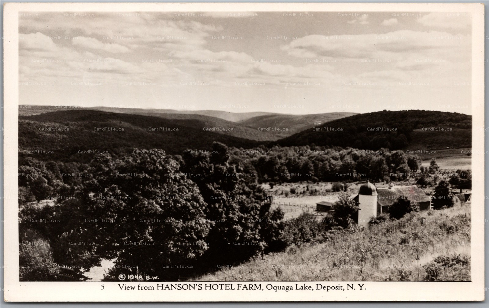Postcard RPPC c1949 Deposit New York Oquaga Lake View from Hansons Hotel Farm