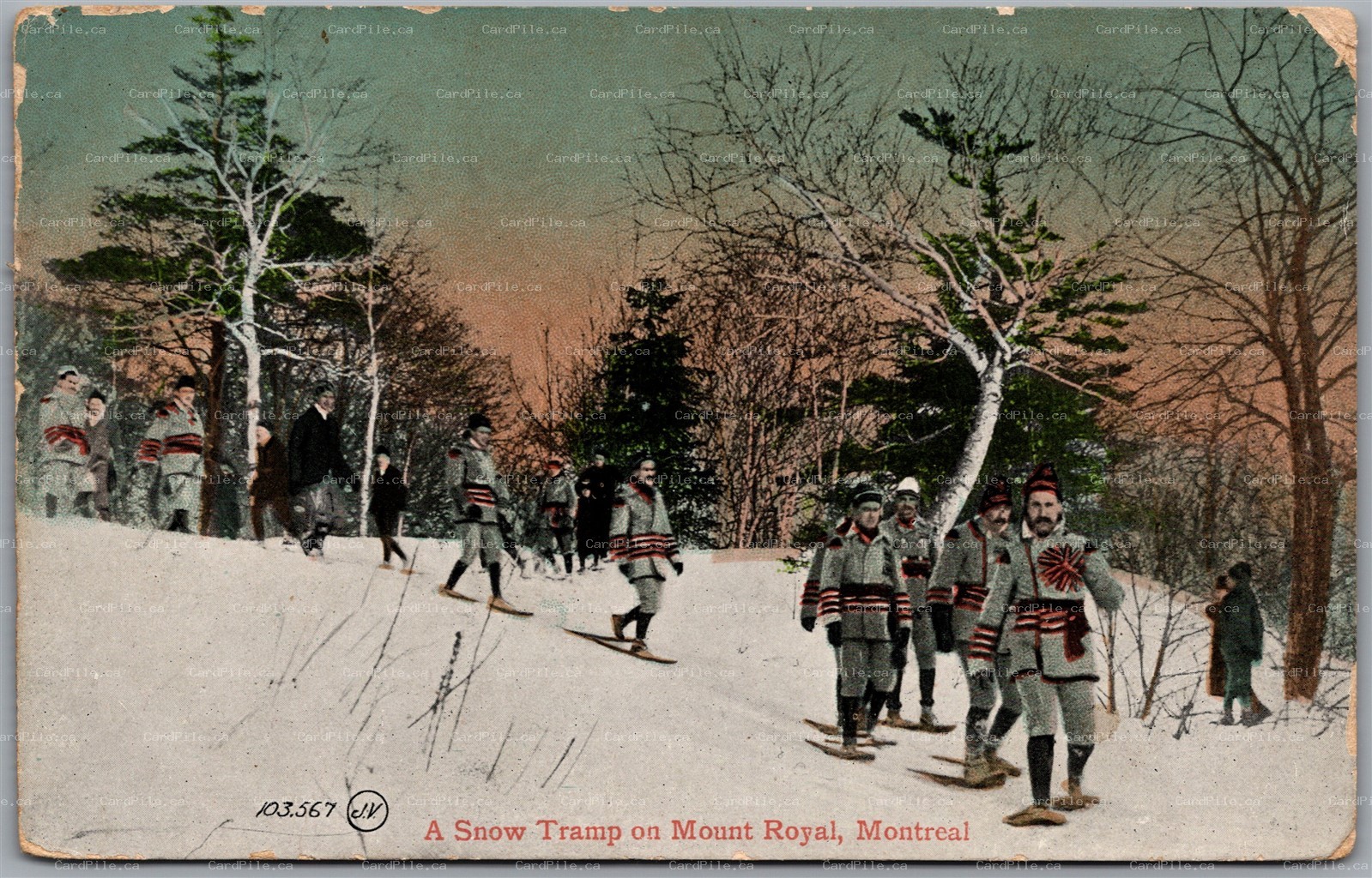 Postcard Montreal Quebec 1910 A Snow Tramp on Mount Royal CDS Beamsville Ontario