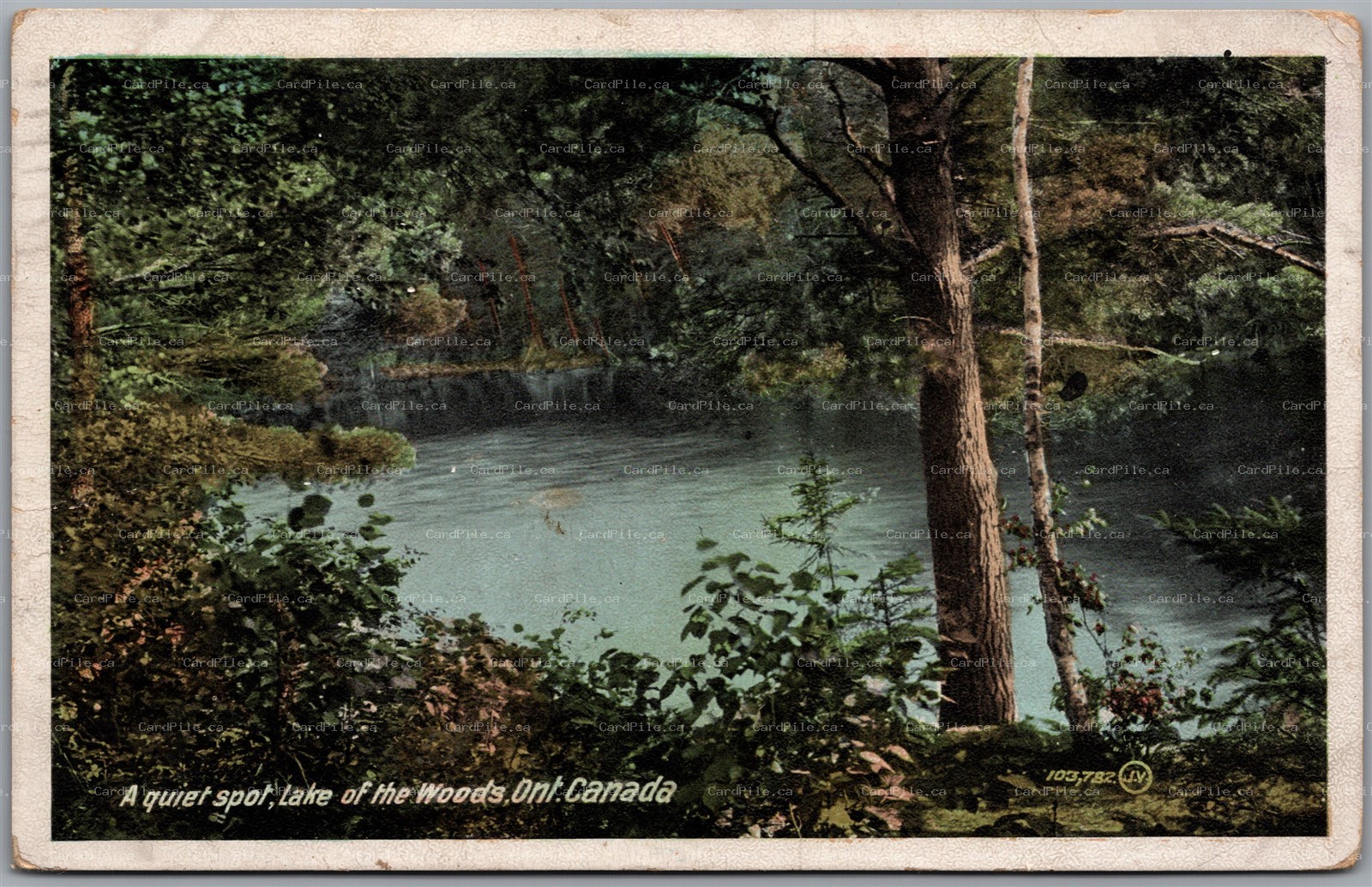Postcard Lake of The Woods Ontario A Quiet Spot Scenic View to Miami Manitoba