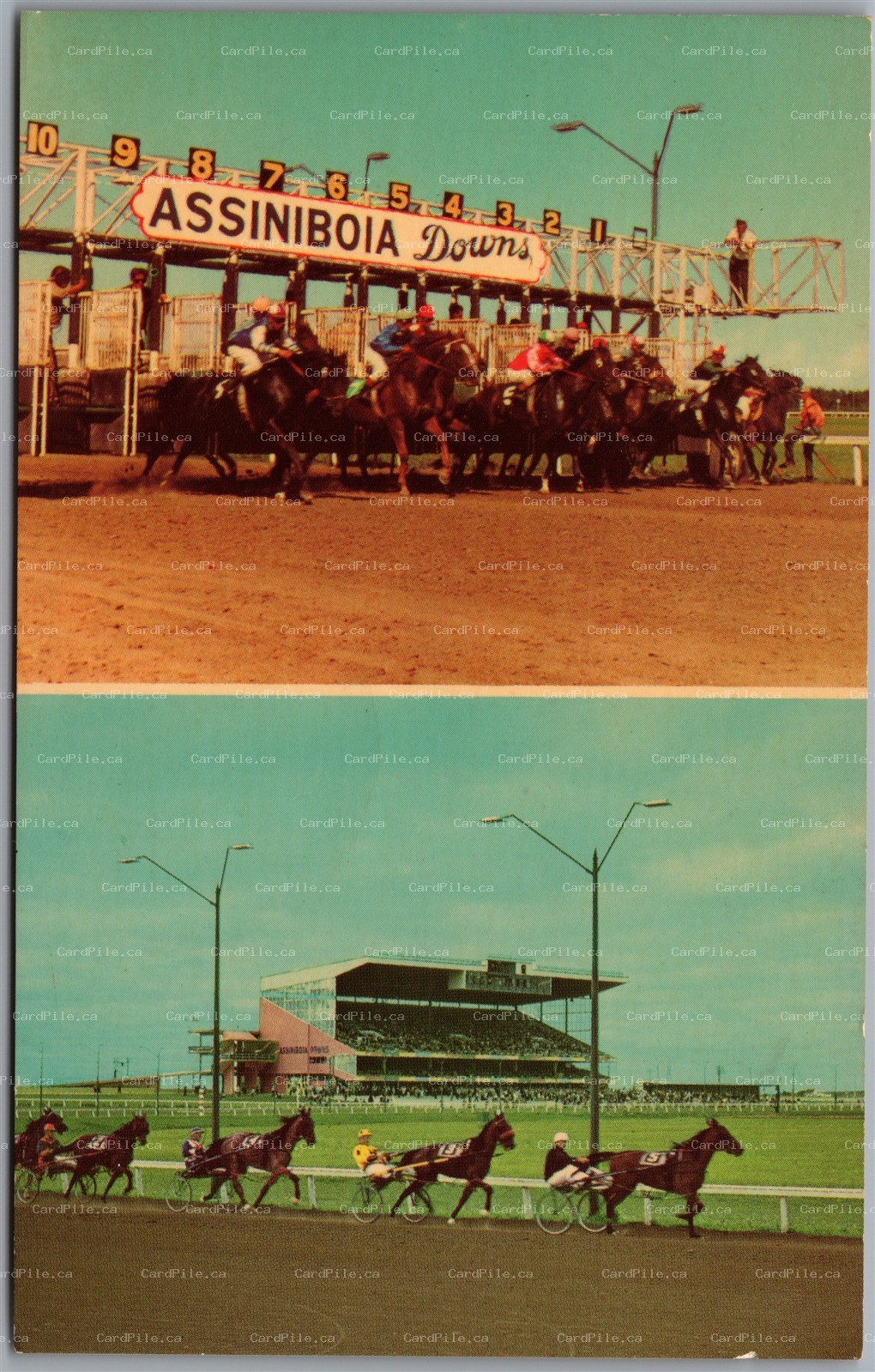 Postcard Winnipeg Manitoba Assiniboia Downs Derby Horse Racing Dual View