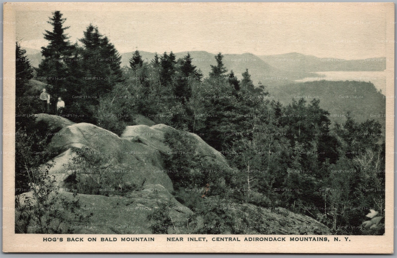 Postcard Inlet New York Hog's Back on Bald Mountain Adirondack Mts. Albertype