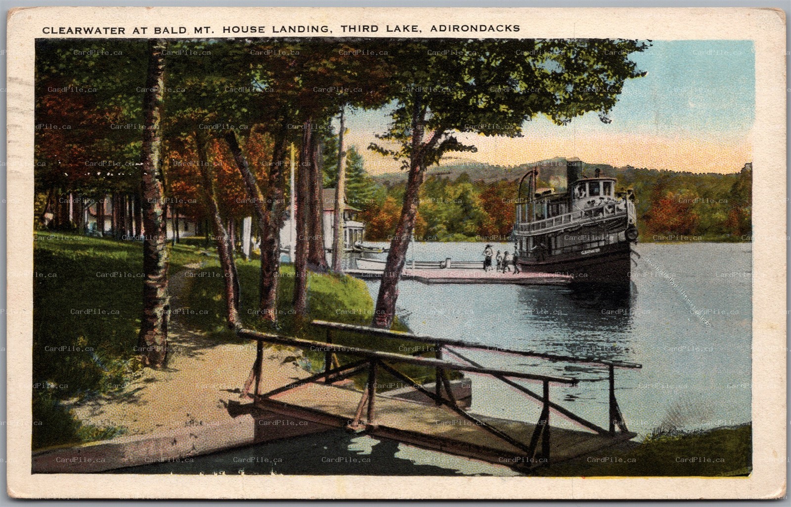 Postcard Third Lake New York Clearwater Steamer at Bald Mt. House Landing