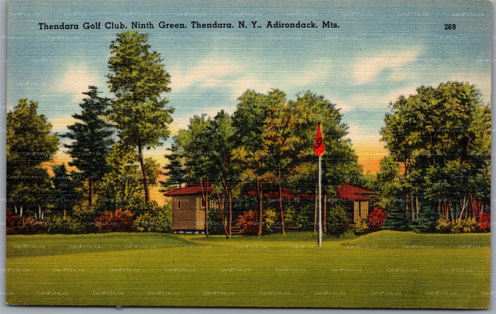 Postcard Thendara New York Golf Club Ninth Green Adirondack Mts. Herkimer County