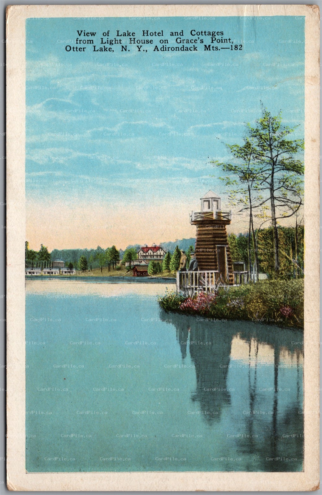 Postcard Otter Lake New York Lake Hotel and Cottages Light House Grace's Point