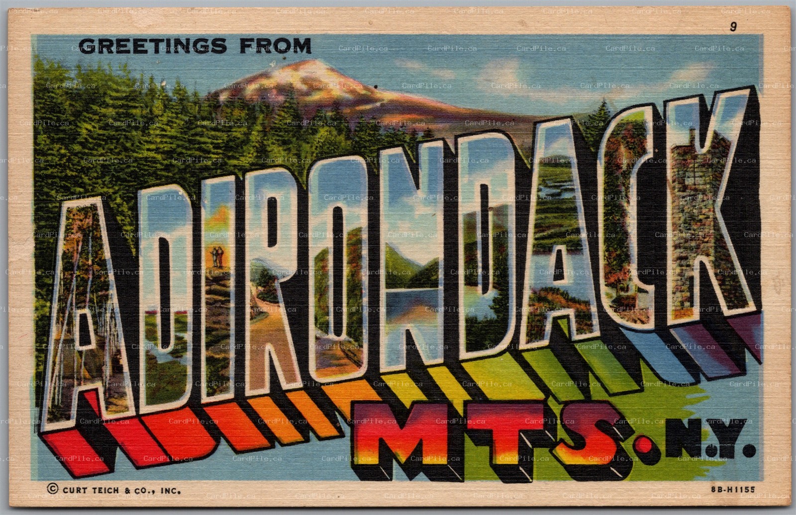 Postcard c1955 Greetings from Adirondack Mts. New York Large Letter Scenic Views