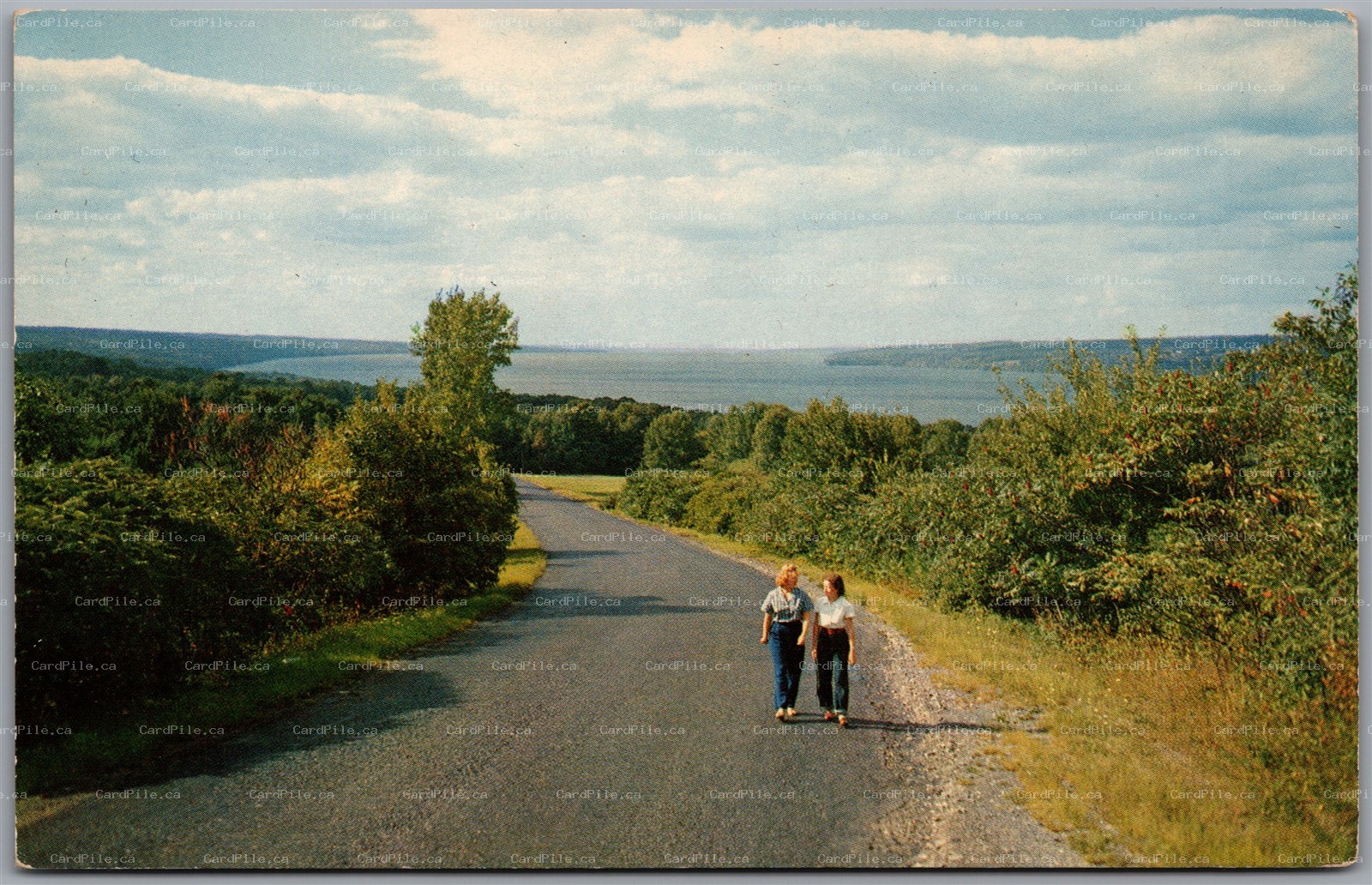 Postcard Ithaca New York Cayuga Lake Taughannock Falls State Park Watkins Glen