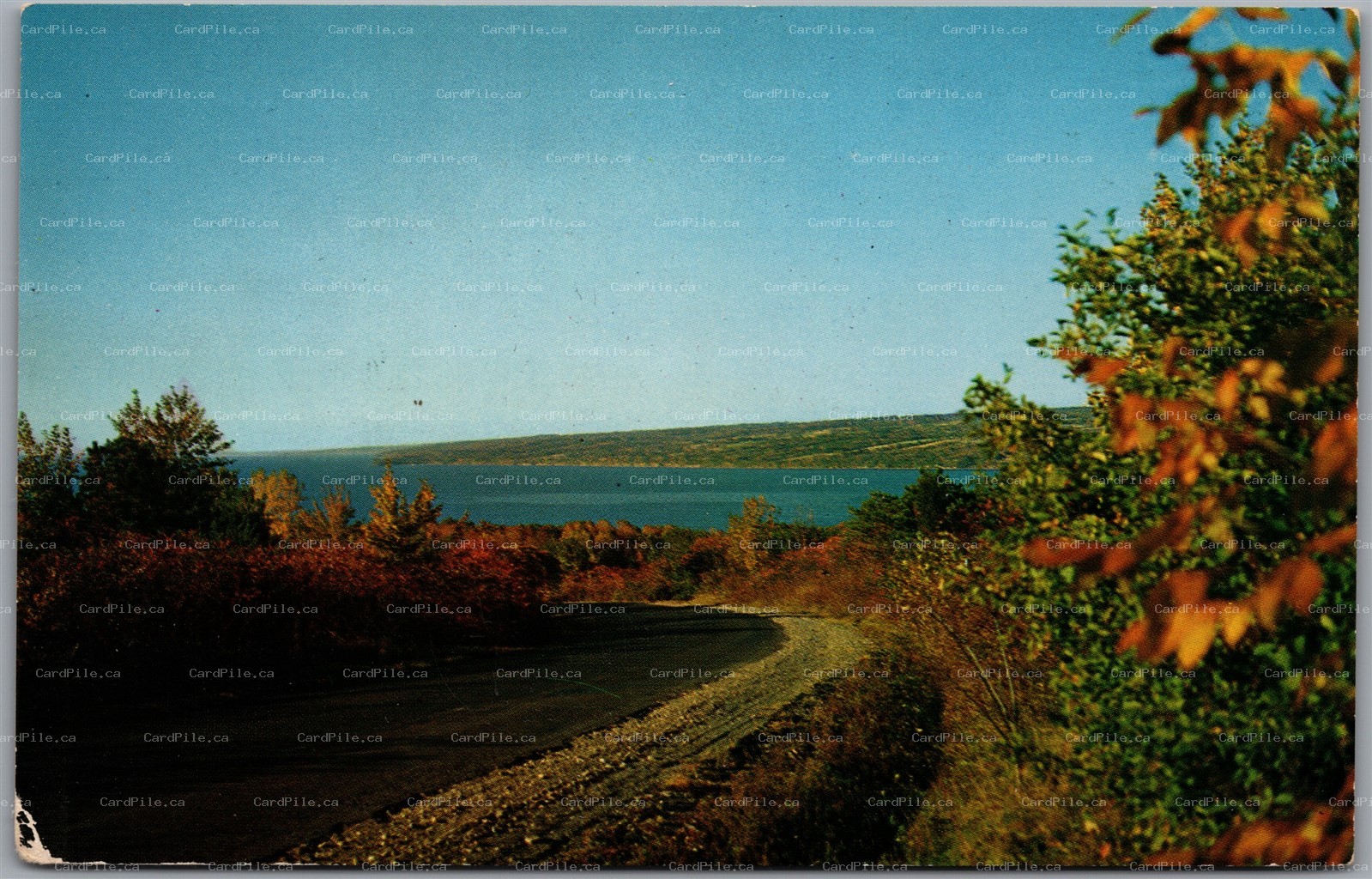 Postcard Ithaca New York Cayuga Lake Taughannock Falls Finger Lakes Scenic View
