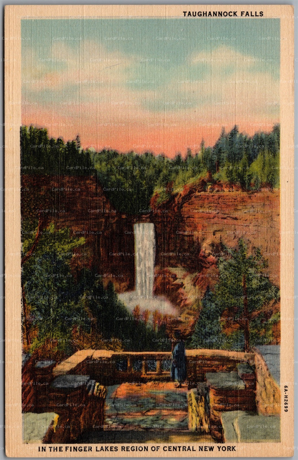 Postcard Ithaca New York Taughannock Falls Scenic View C
