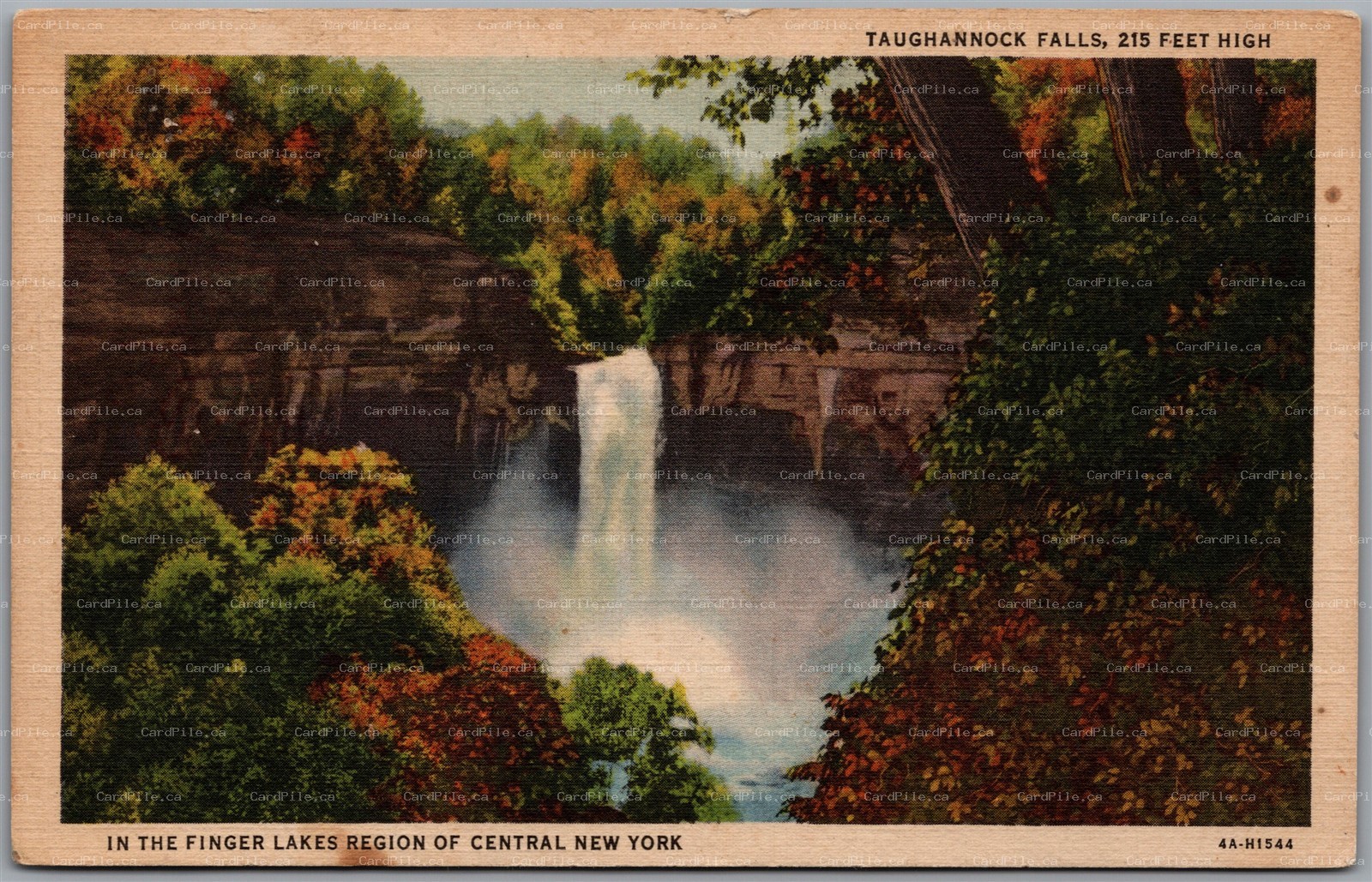 Postcard Ithaca New York Taughannock Falls Scenic View D